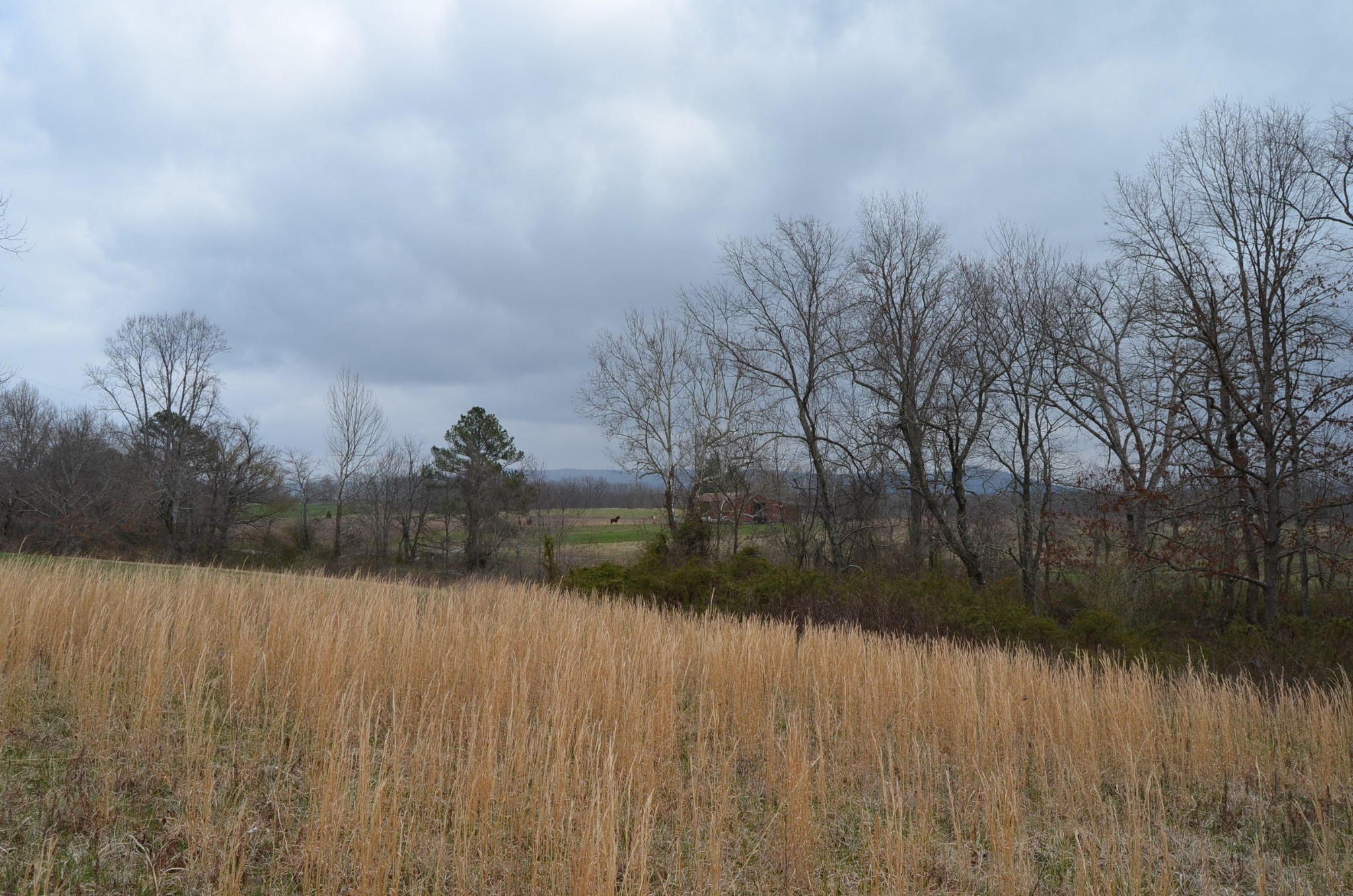 0 Parnell Road Crossville, TN 38572 - Photo 19 of 23 a view of lake