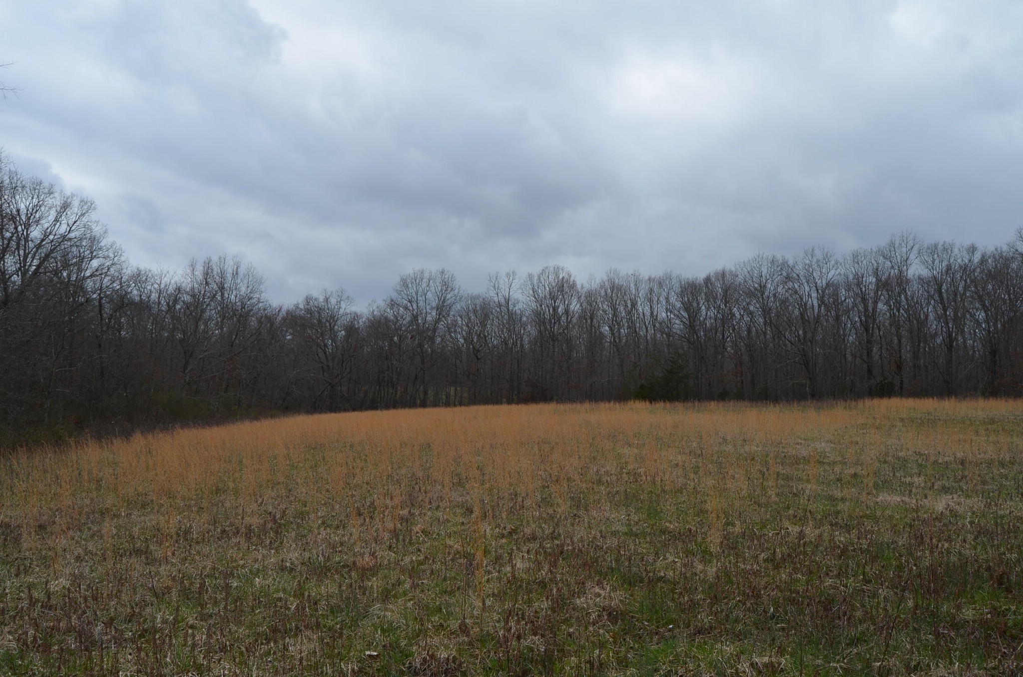 0 Parnell Road Crossville, TN 38572 - Photo 21 of 23 a view of basketball court