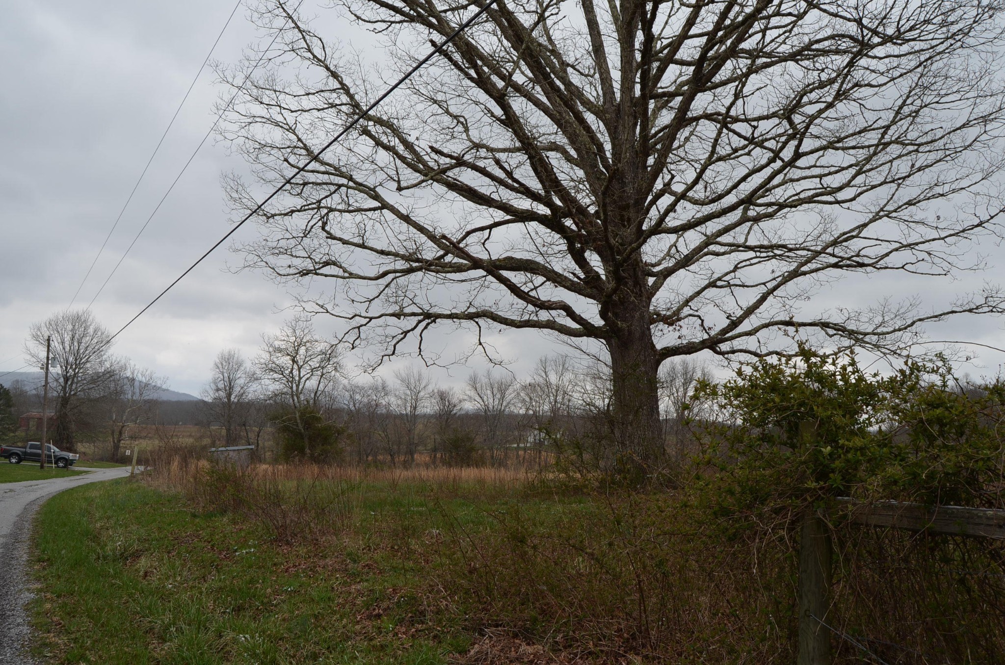 0 Parnell Road Crossville, TN 38572 - Photo 5 of 23 a backyard of a house with lots of green space