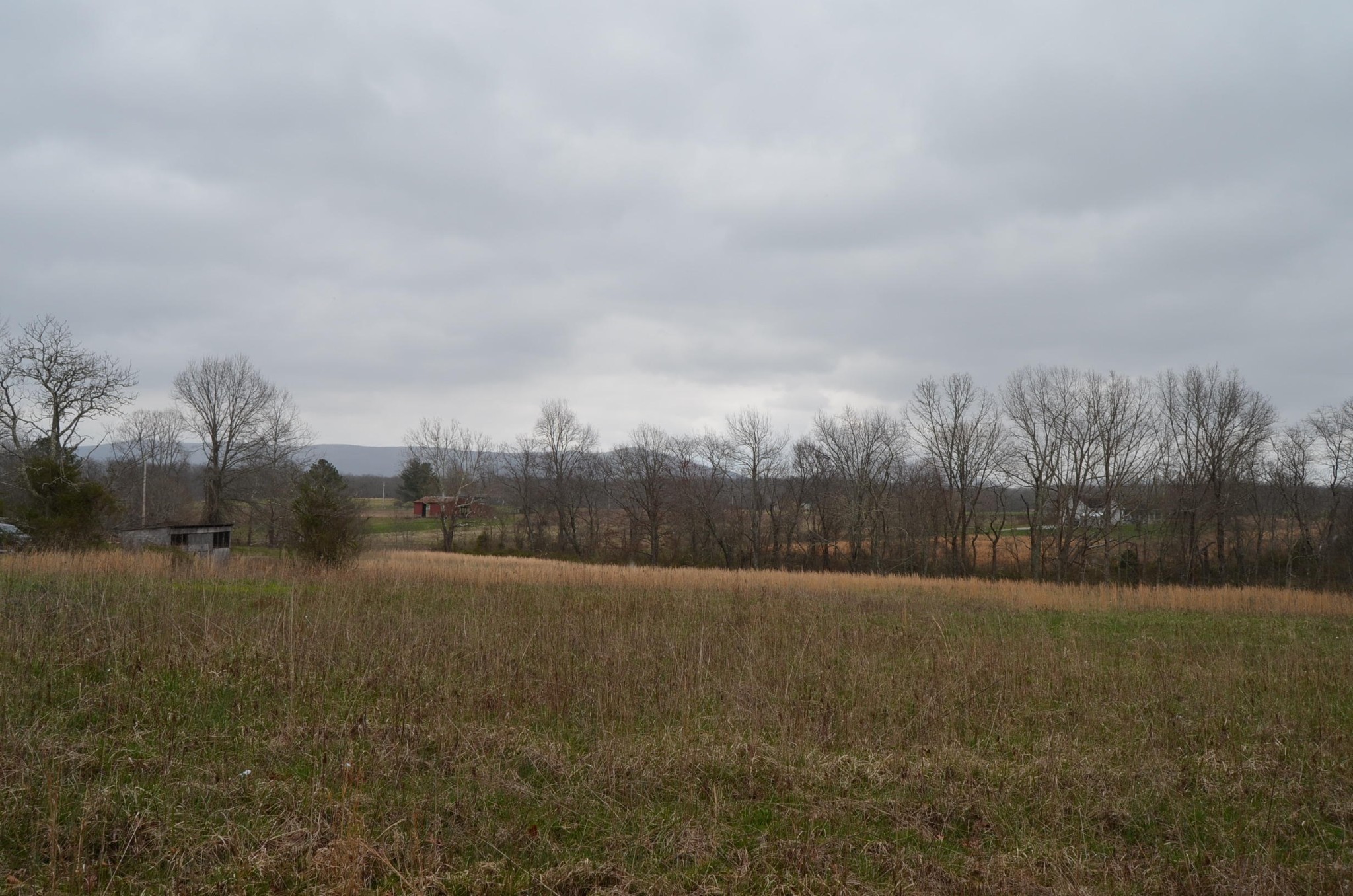 0 Parnell Road Crossville, TN 38572 - Photo 7 of 23 a view of an outdoor space and a yard