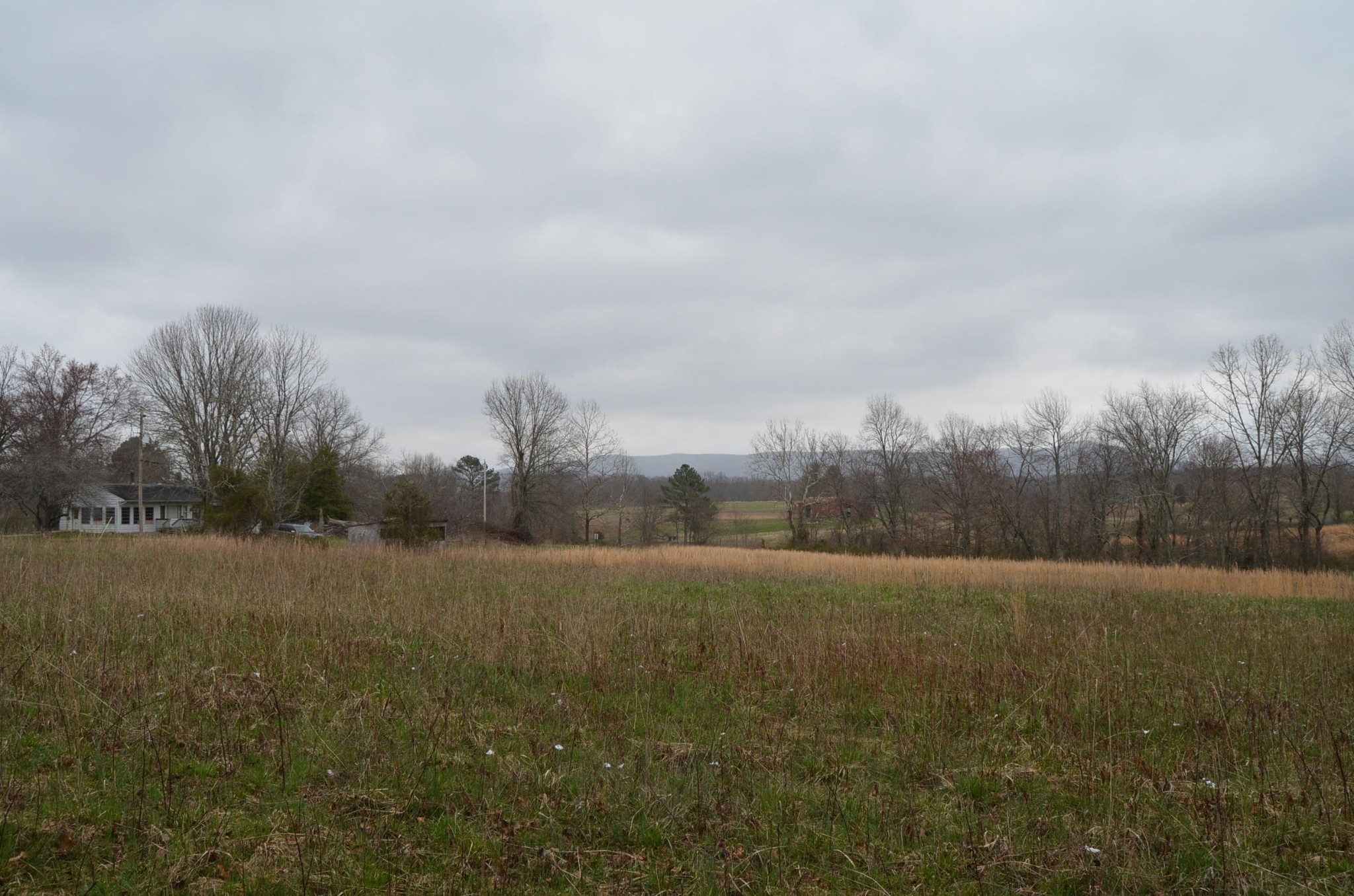 0 Parnell Road Crossville, TN 38572 - Photo 8 of 23 a view of an outdoor space and a yard