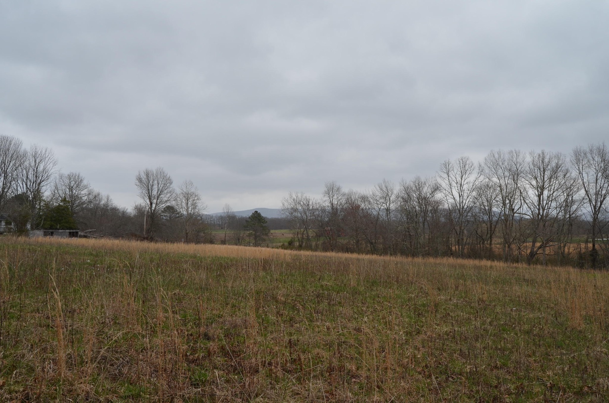 0 Parnell Road Crossville, TN 38572 - Photo 10 of 23 a view of an outdoor space and a yard