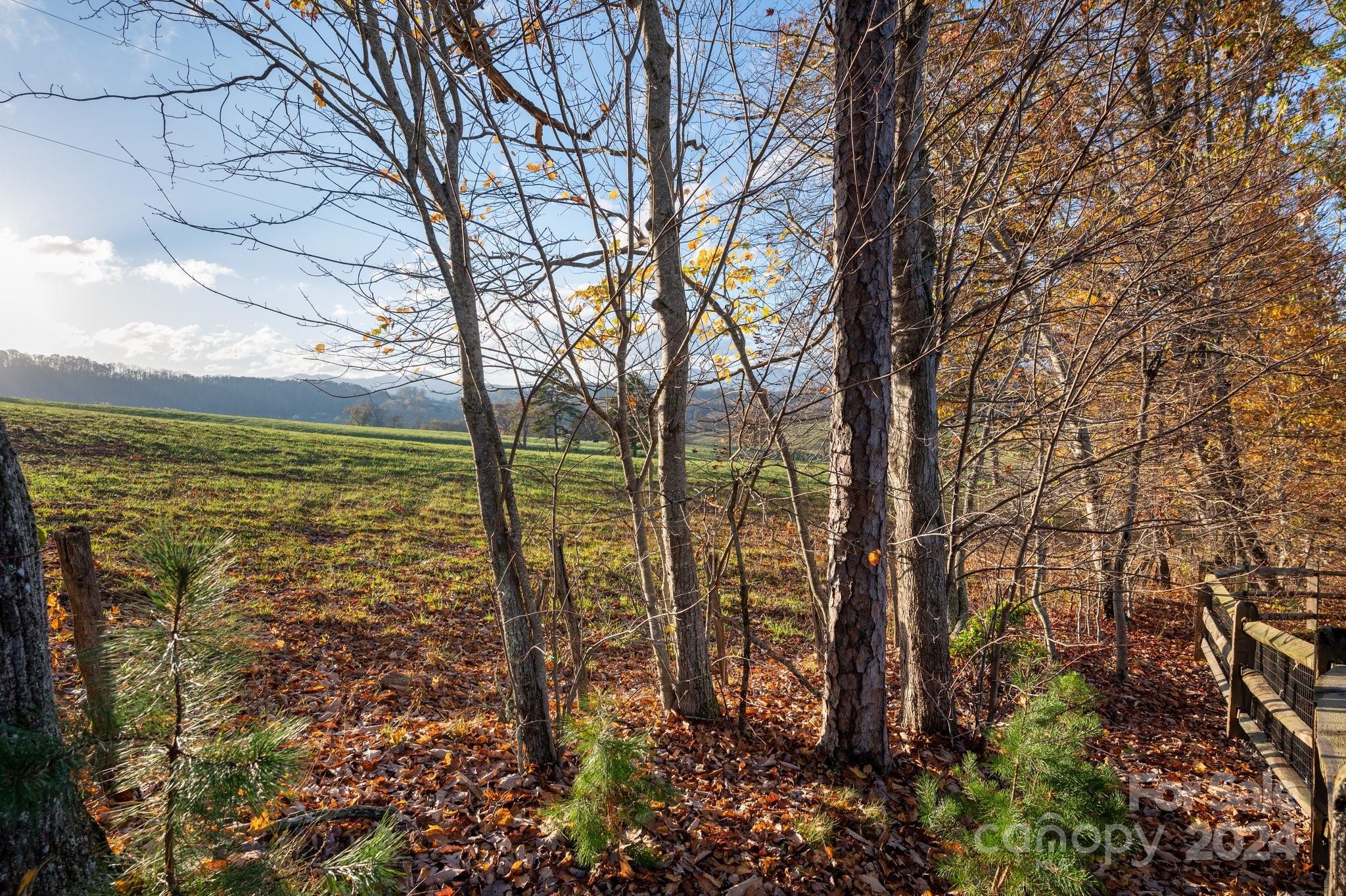 19 Roundtop Ridge Court Candler, NC 28715 - Photo 20 of 23 Gallery Image 20