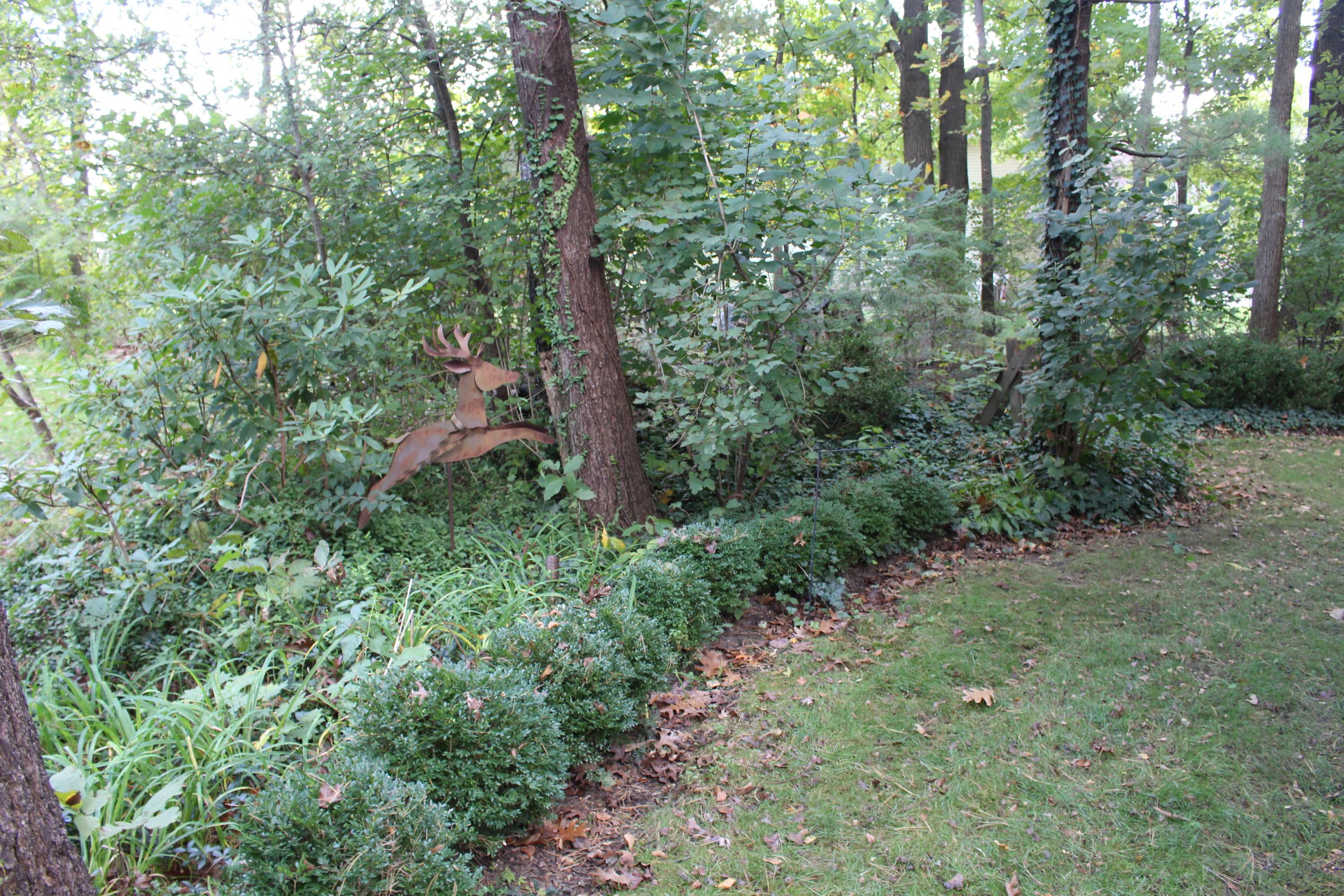 2415 Willis Road Dublin, OH 43016 - Photo 36 of 42 Gallery Image 36