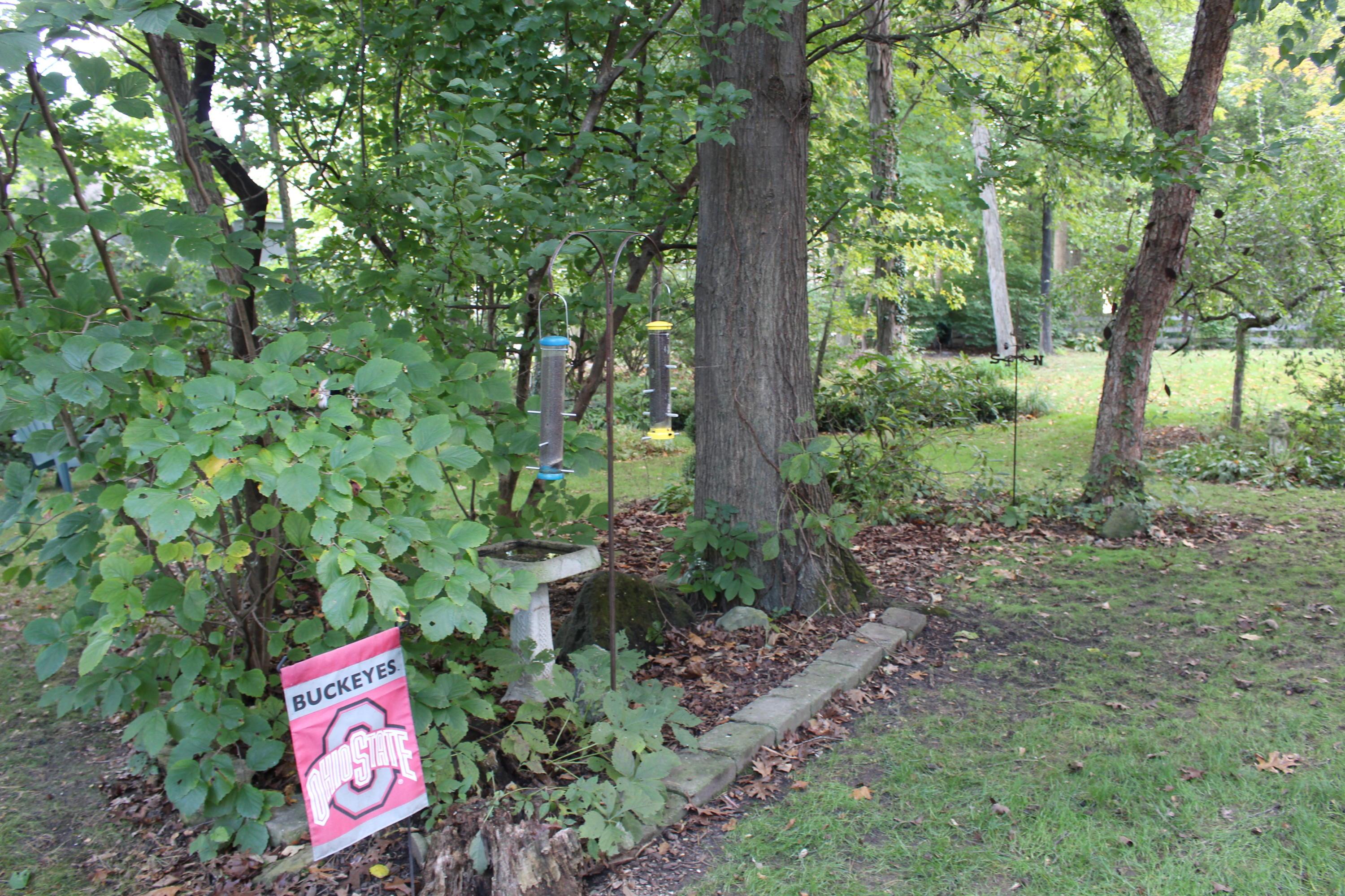 2415 Willis Road Dublin, OH 43016 - Photo 37 of 42 Gallery Image 37