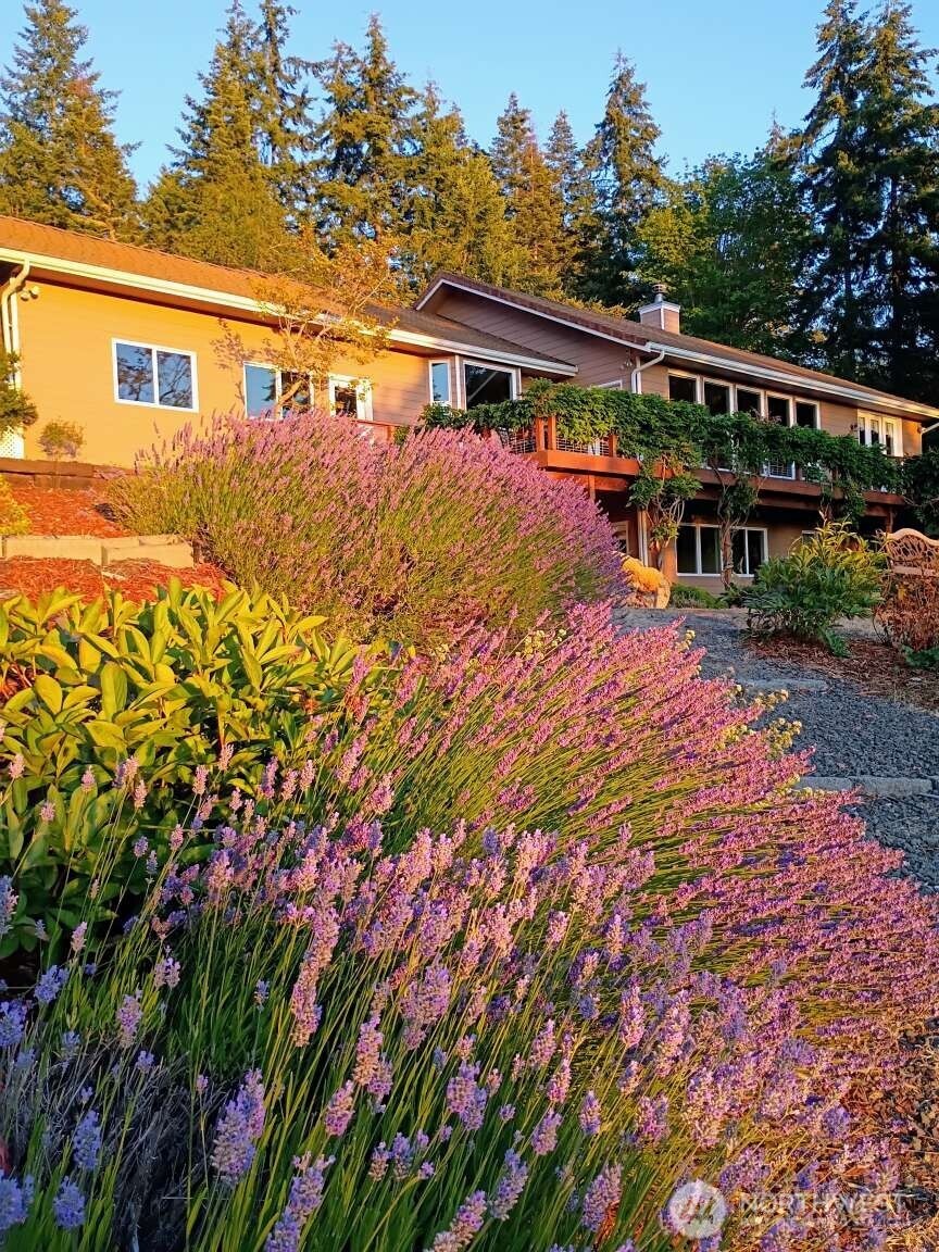 823 Fox Hollow Road Sequim, WA 98382 - Photo 2 of 34 Gallery Image 2