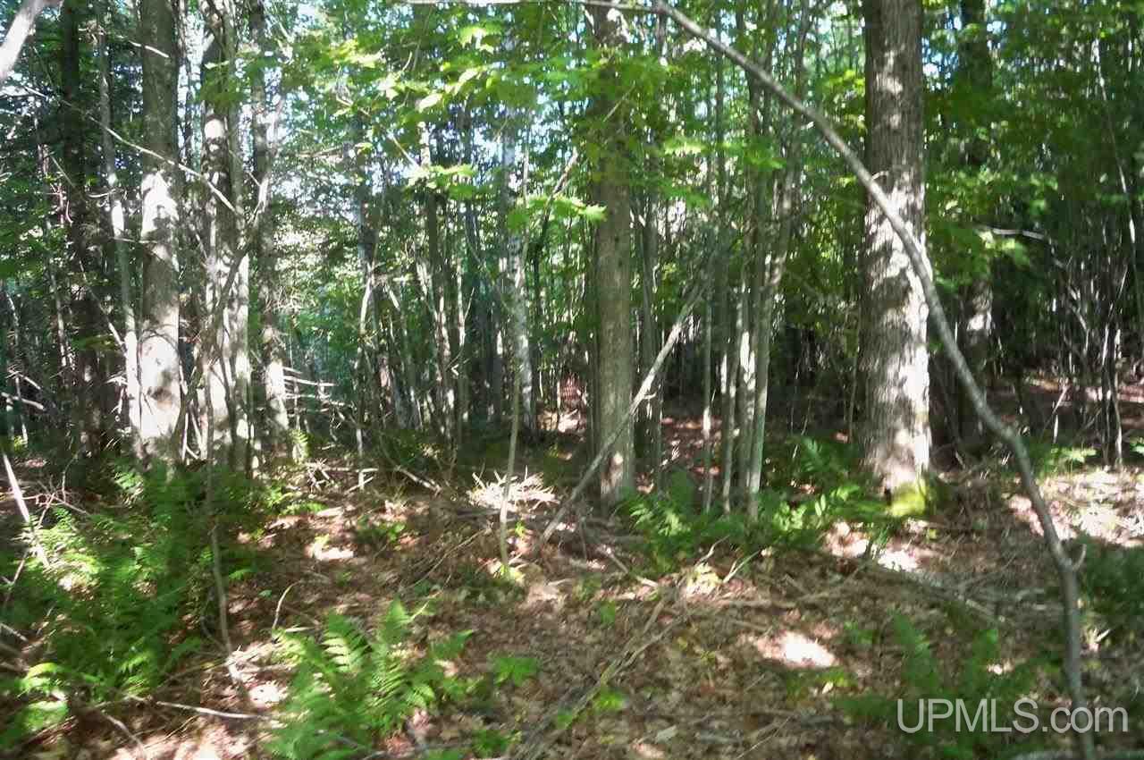 N7677 Carmody Road Munising, MI 49862 - Photo 14 of 24 Gallery Image 14
