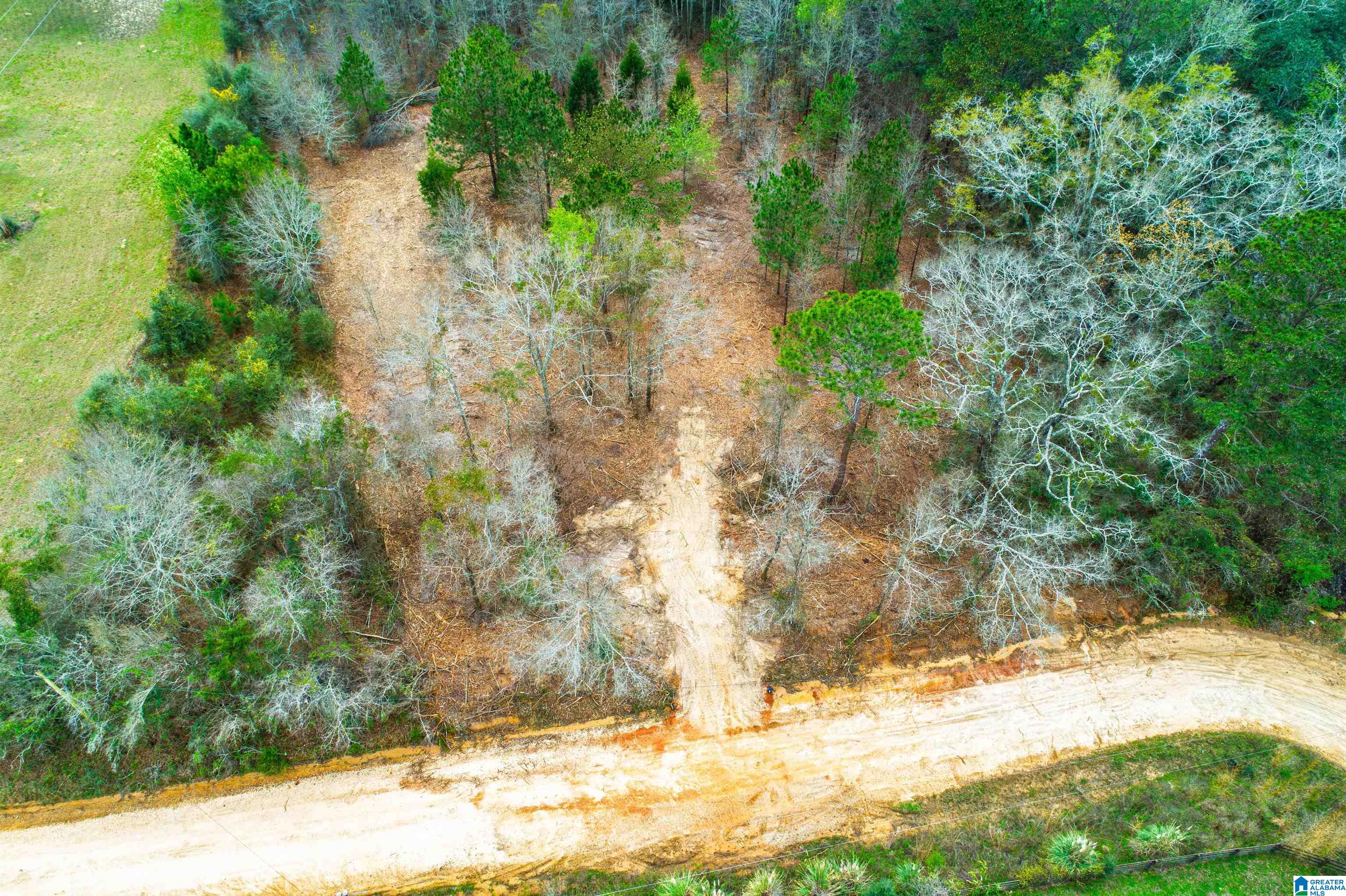 27180 Deer Run Road Opp, AL 36467 - Photo 30 of 60