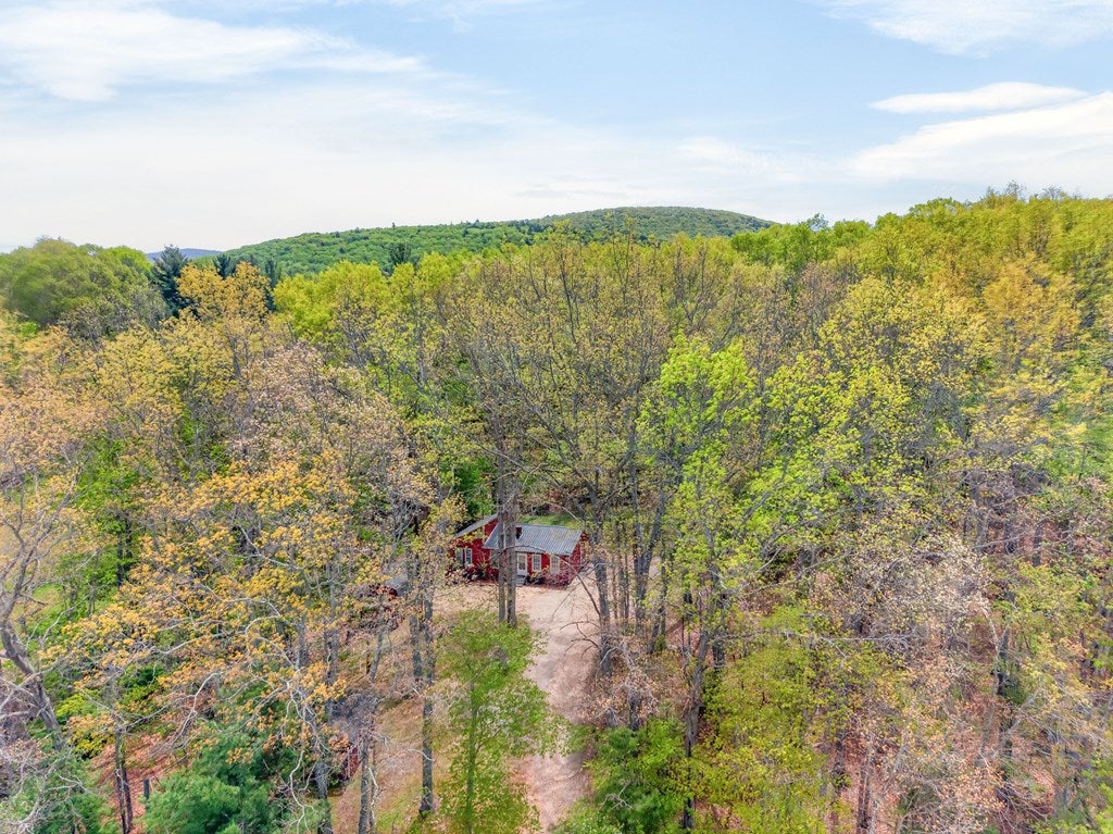 2531 Dry Road Speedwell, VA 24374 - Photo 61 of 64 Gallery Image 61