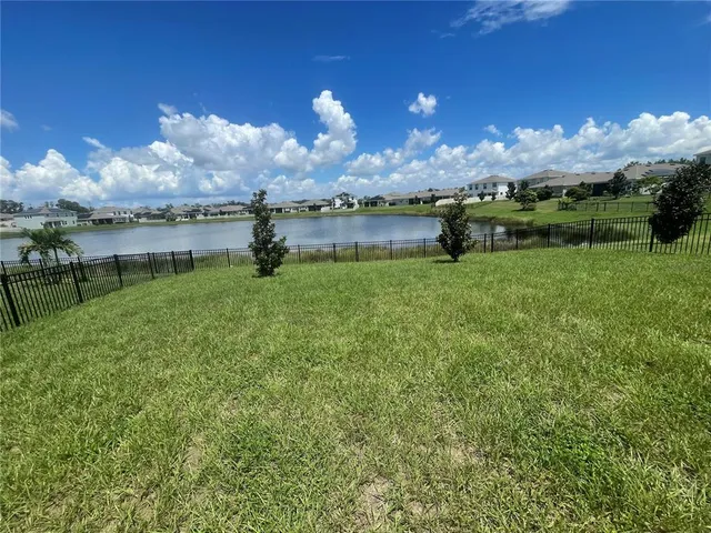 a view of a lake in middle of forest