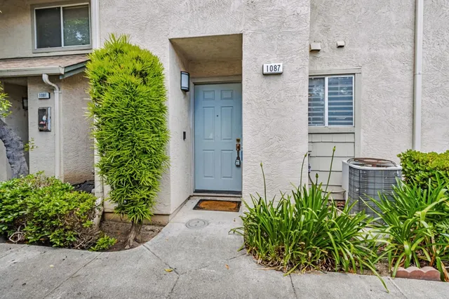 a couple of potted plants in front of door