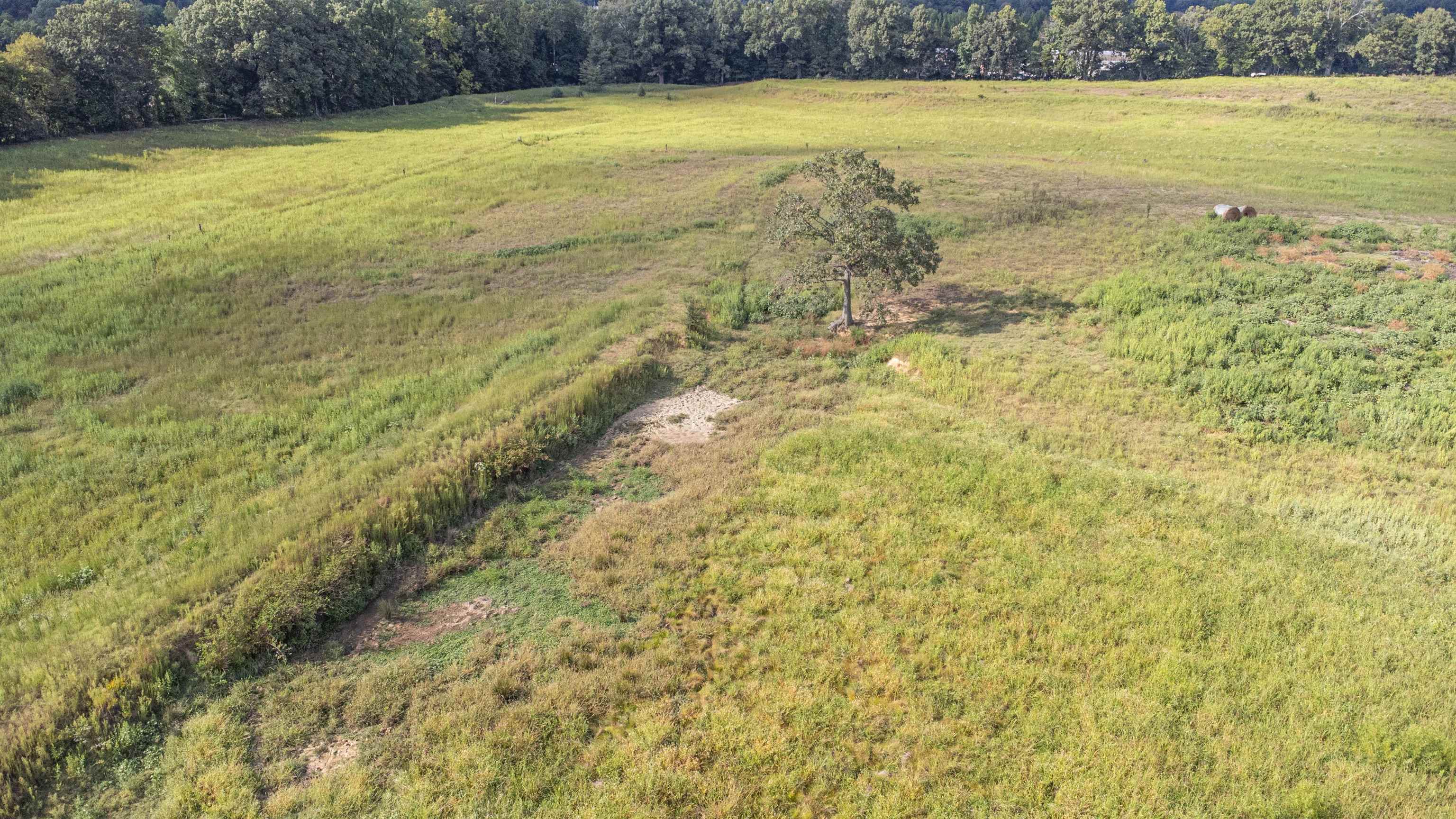 0 Sanford Road Ripley, TN 38063 - Photo 7 of 10 a view of an ocean from a yard