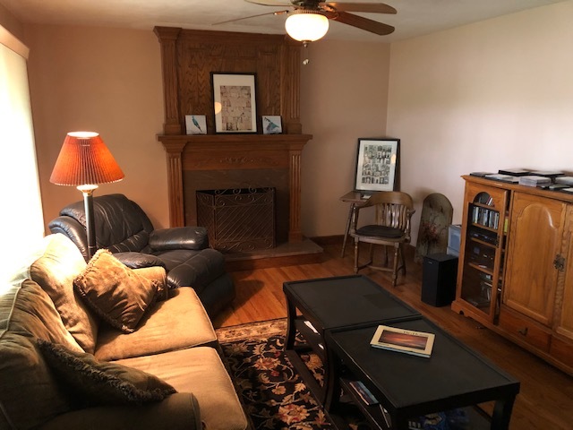 1065 North 3rd Street Rochelle, IL 61068 - Photo 3 of 17 a living room with furniture and a fireplace