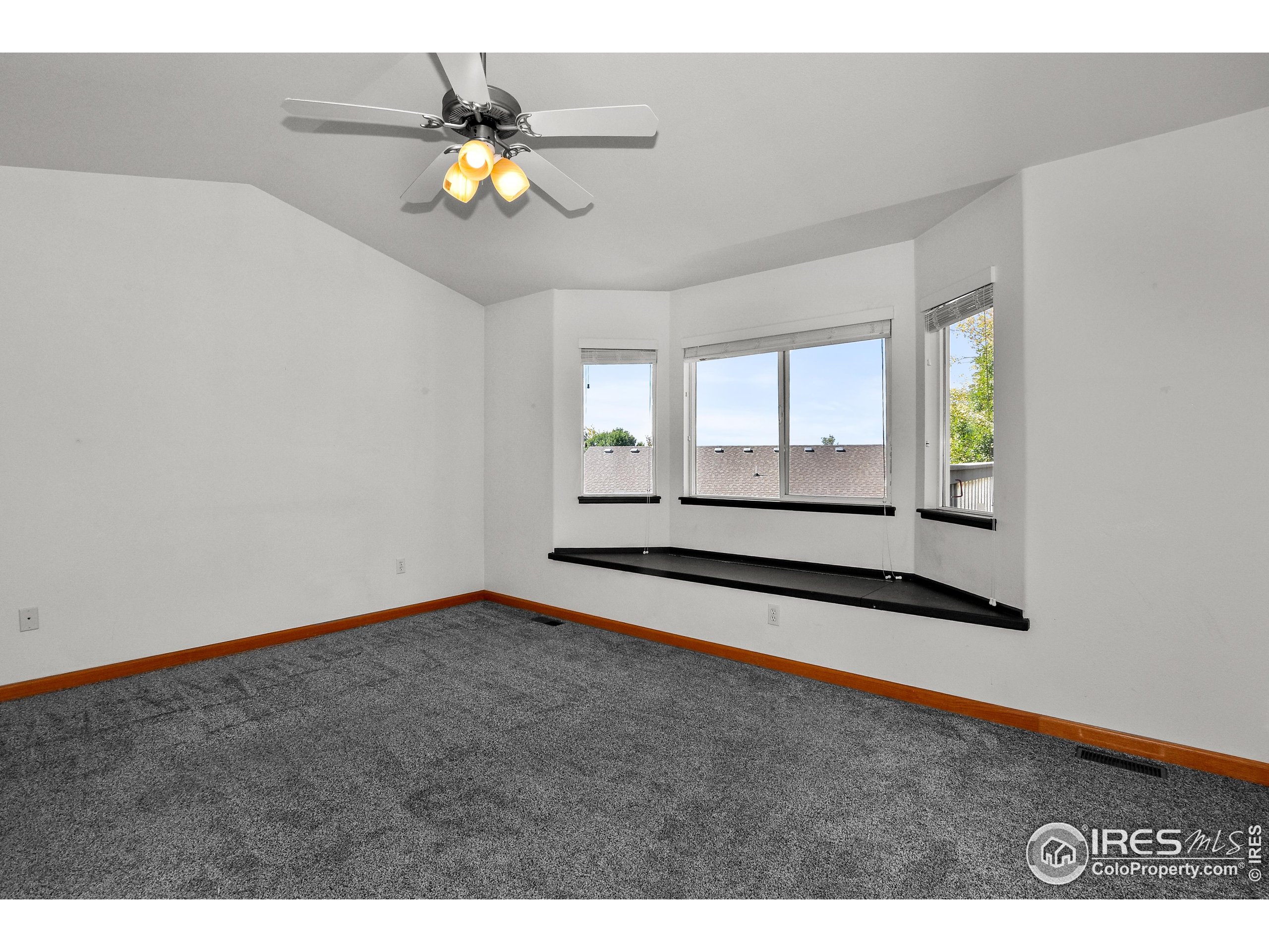 205 Timber Ridge Court Severance, CO 80550 - Photo 20 of 48