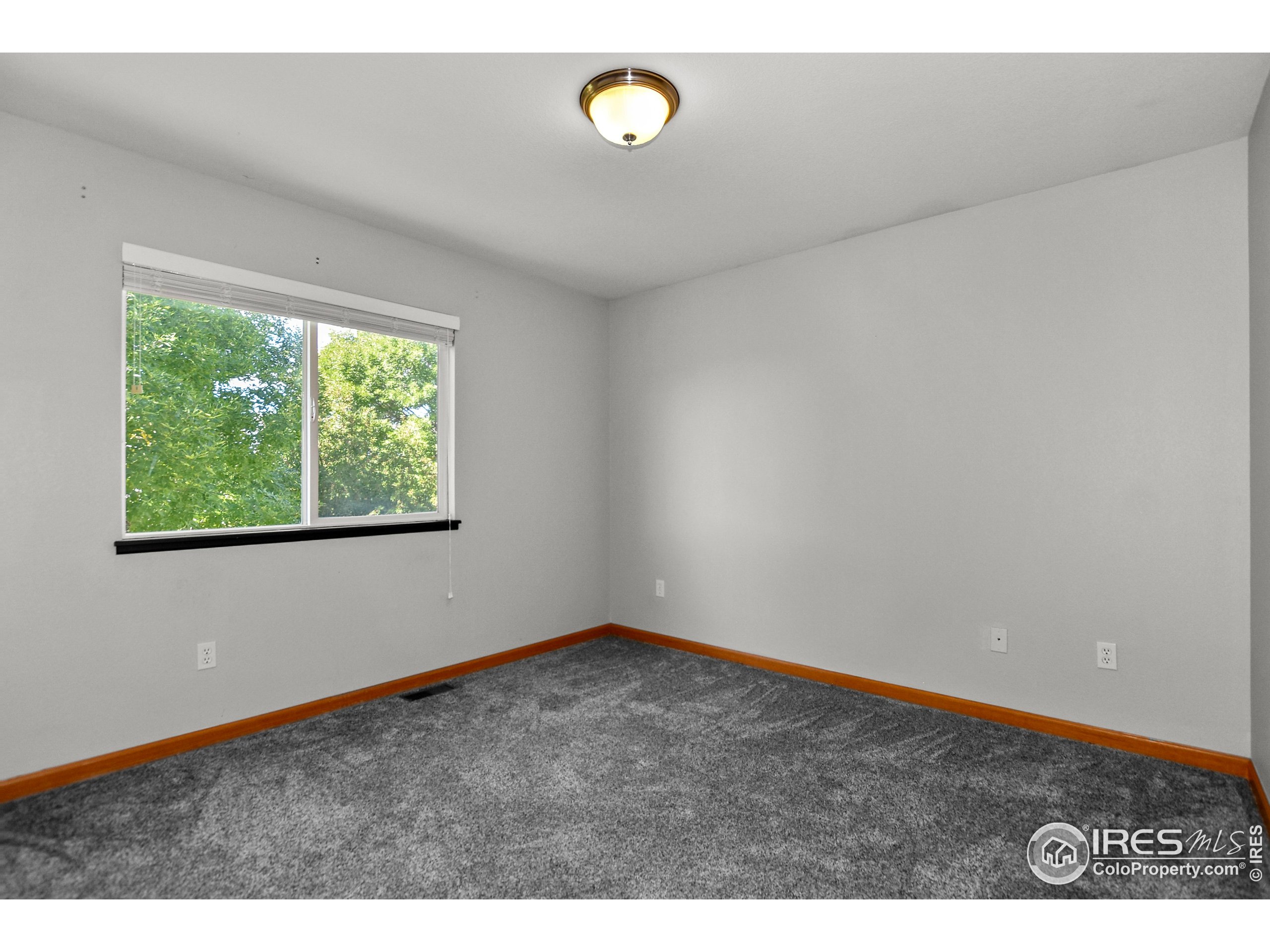 205 Timber Ridge Court Severance, CO 80550 - Photo 21 of 48 a view of an empty room with a window
