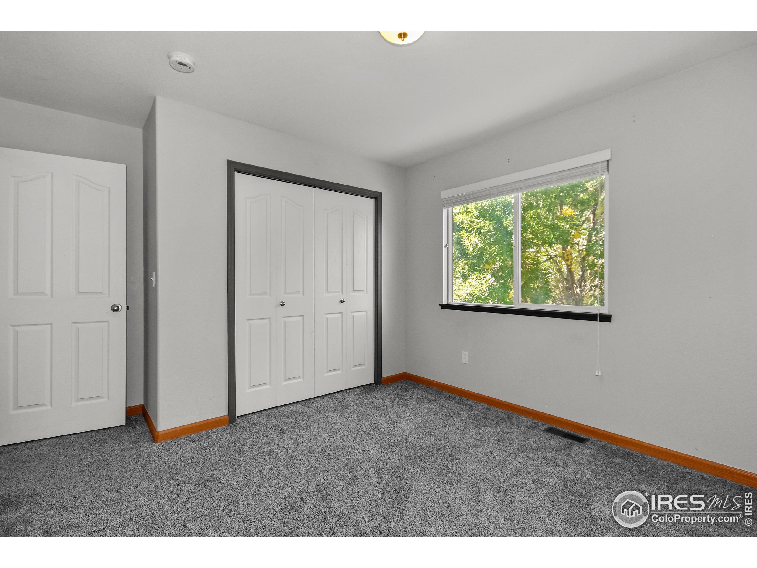 205 Timber Ridge Court Severance, CO 80550 - Photo 23 of 48 a view of an empty room with a window