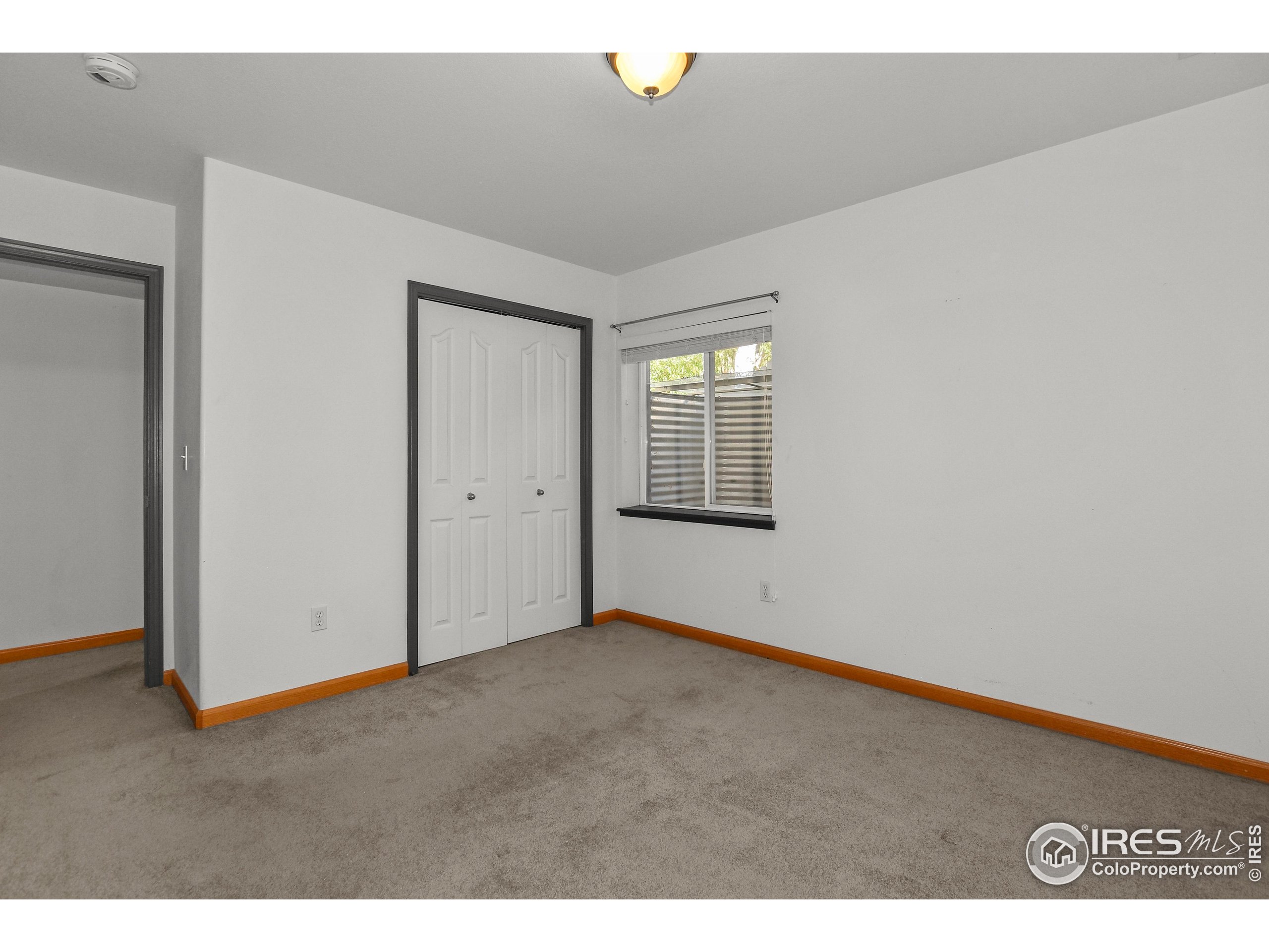 205 Timber Ridge Court Severance, CO 80550 - Photo 30 of 48 an empty room with windows