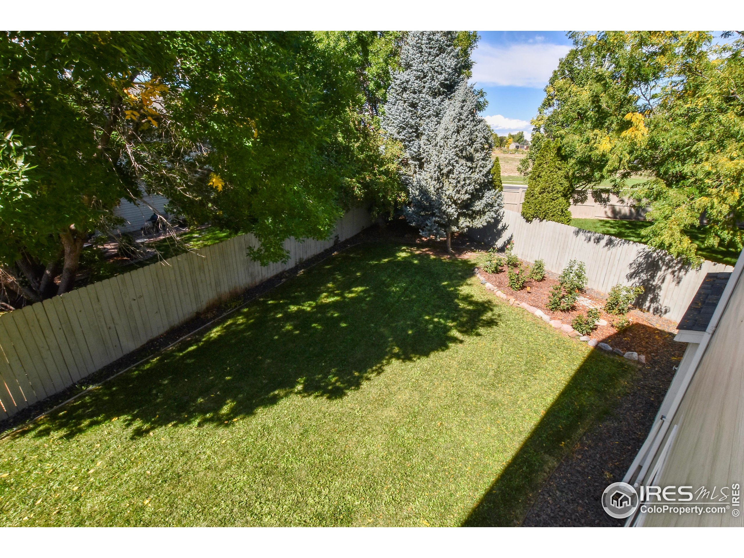 205 Timber Ridge Court Severance, CO 80550 - Photo 41 of 48 a view of a yard