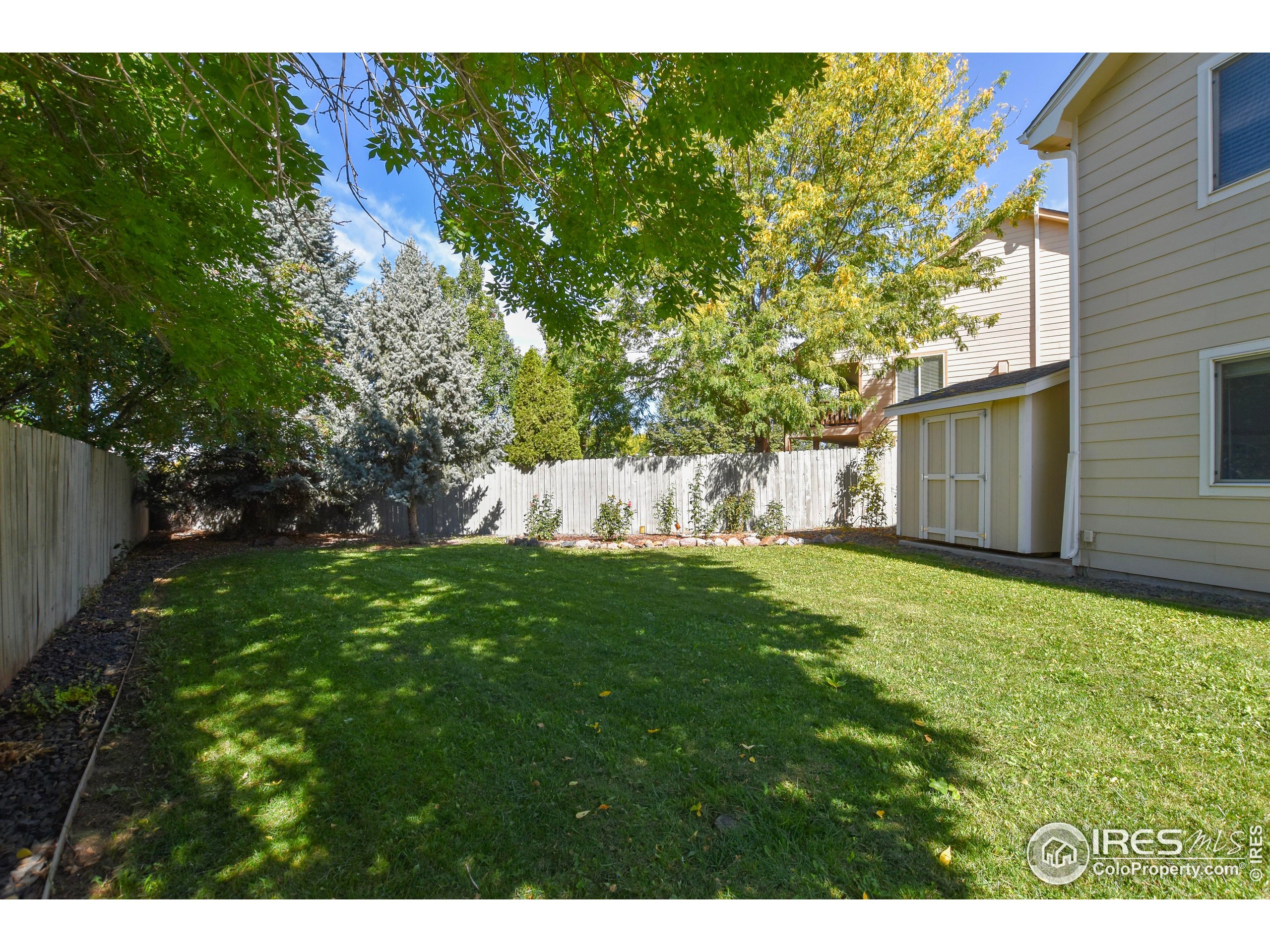 205 Timber Ridge Court Severance, CO 80550 - Photo 47 of 48 a view of a back yard
