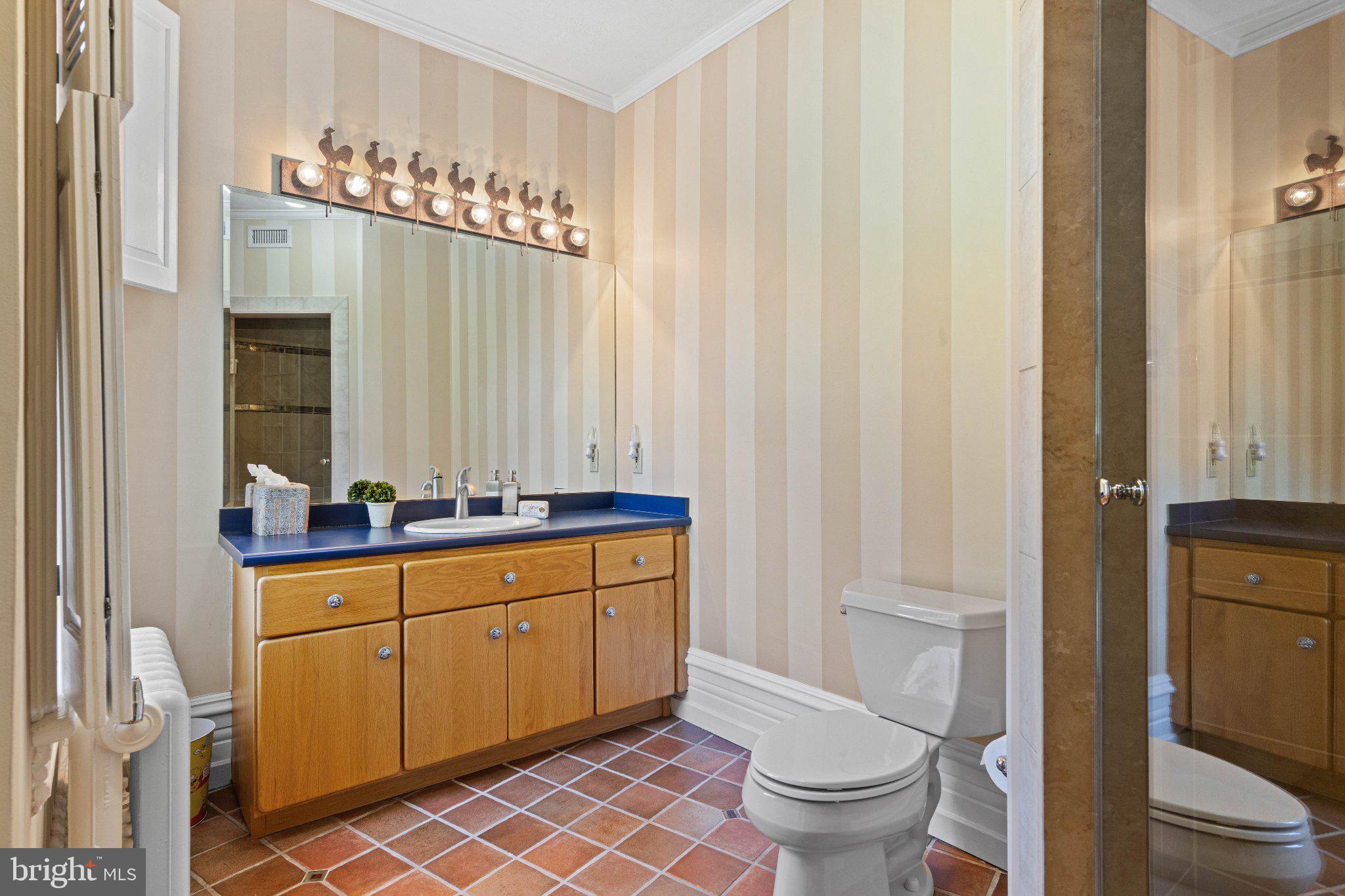 312 South Waterloo Road Devon, PA 19333 - Photo 62 of 112 Full bathroom