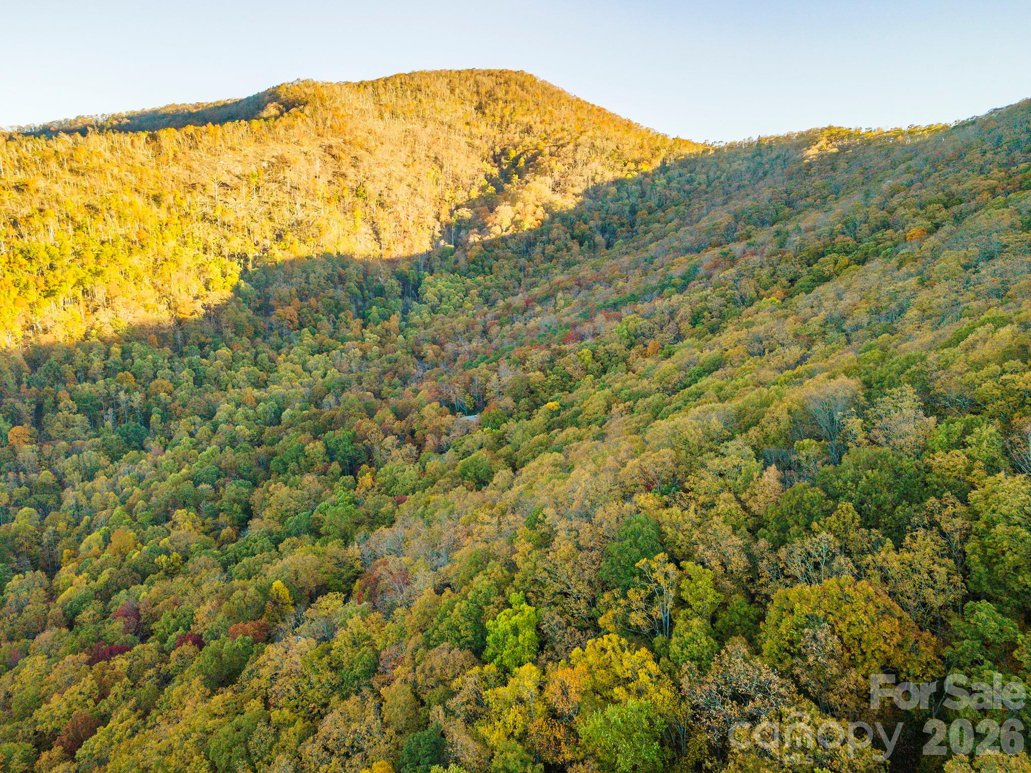 Tbd Summer Haven Road, Unit 16 Swannanoa, NC 28778 - Photo 23 of 45