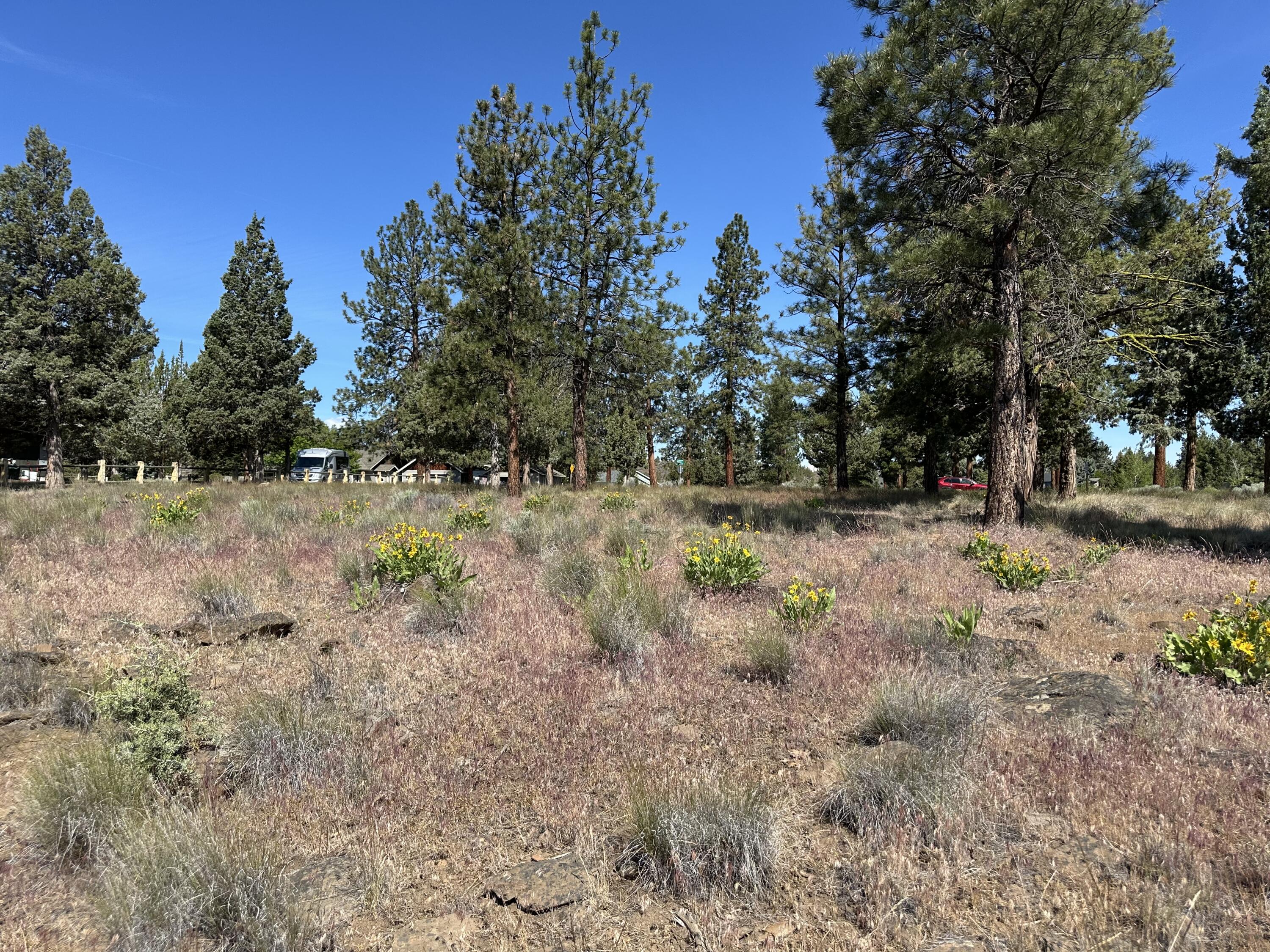 17127 Mountain View Road Sisters, OR 97759 - Photo 13 of 13 16