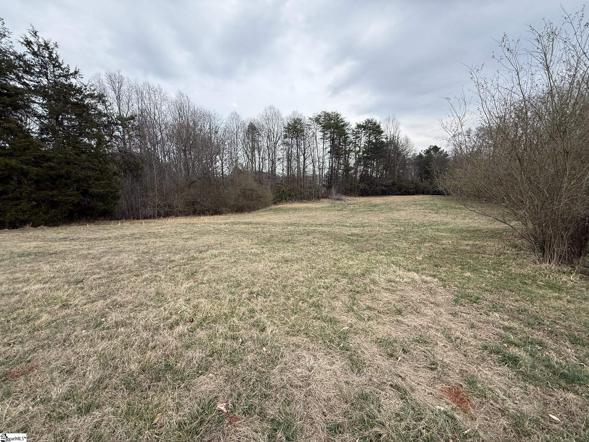 0 Keeler Bridge Road, Unit PARCEL B Marietta, SC 29661 - Photo 3 of 6