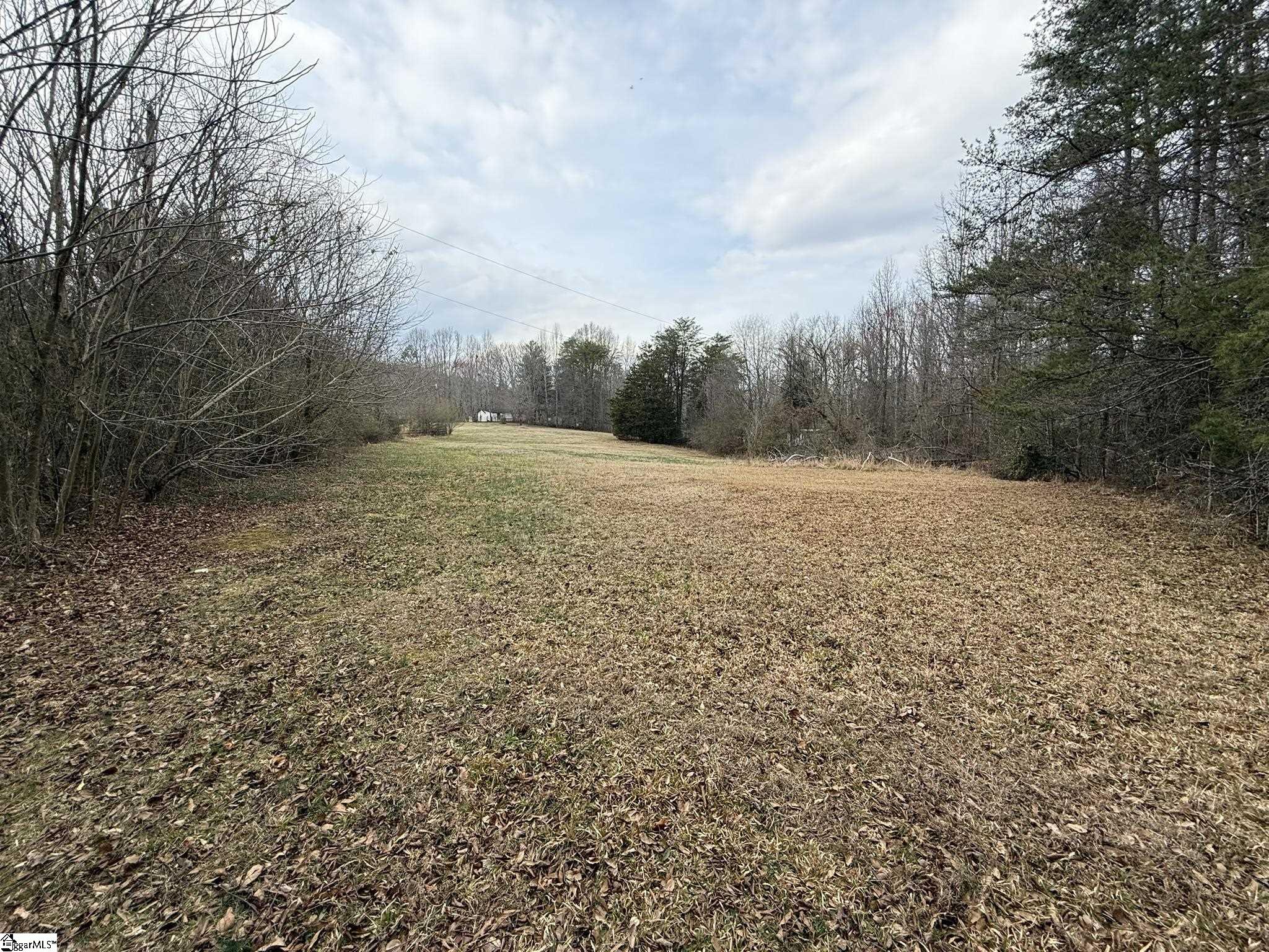 0 Keeler Bridge Road, Unit PARCEL B Marietta, SC 29661 - Photo 4 of 6