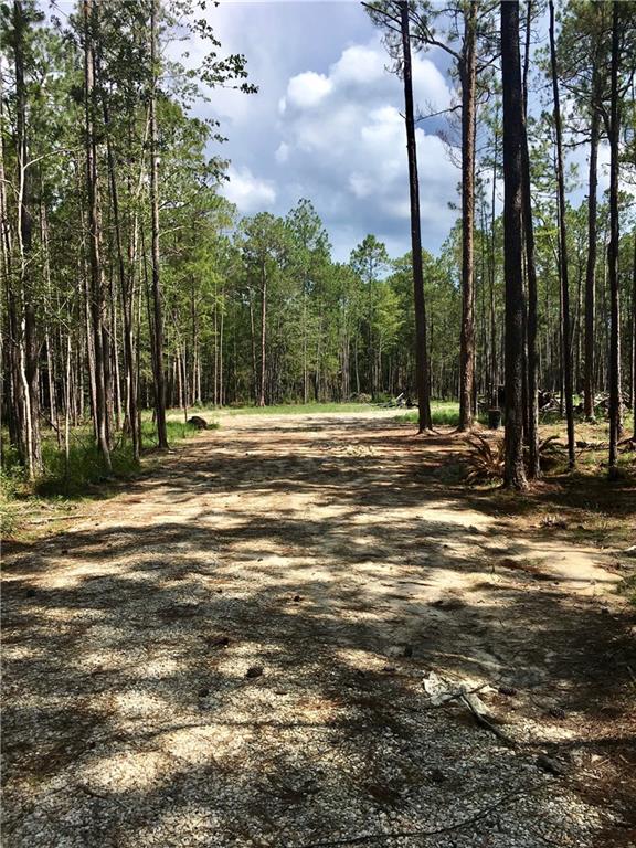 30252 North Dixie Ranch Road Lacombe, LA 70445 - Photo 3 of 8 Gallery Image 3