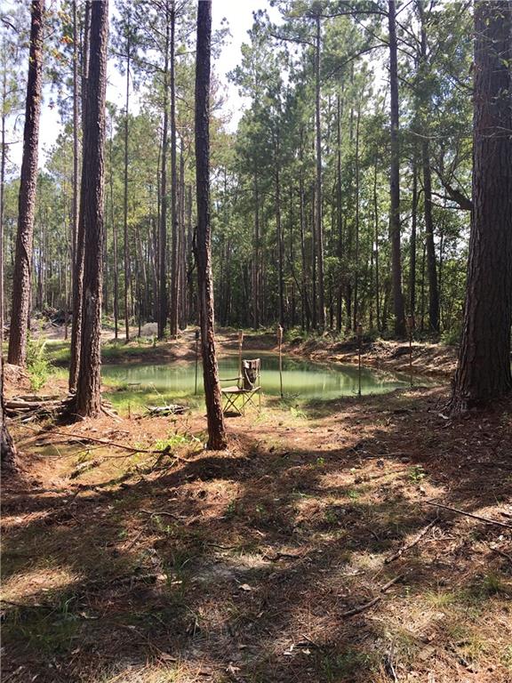 30252 North Dixie Ranch Road Lacombe, LA 70445 - Photo 5 of 8 Gallery Image 5