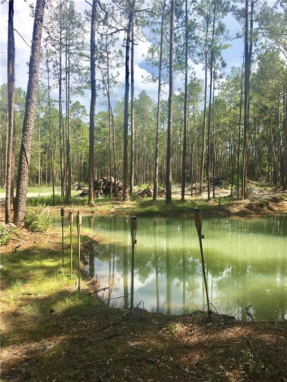 30252 North Dixie Ranch Road Lacombe, LA 70445 - Photo 6 of 8 Gallery Image 6