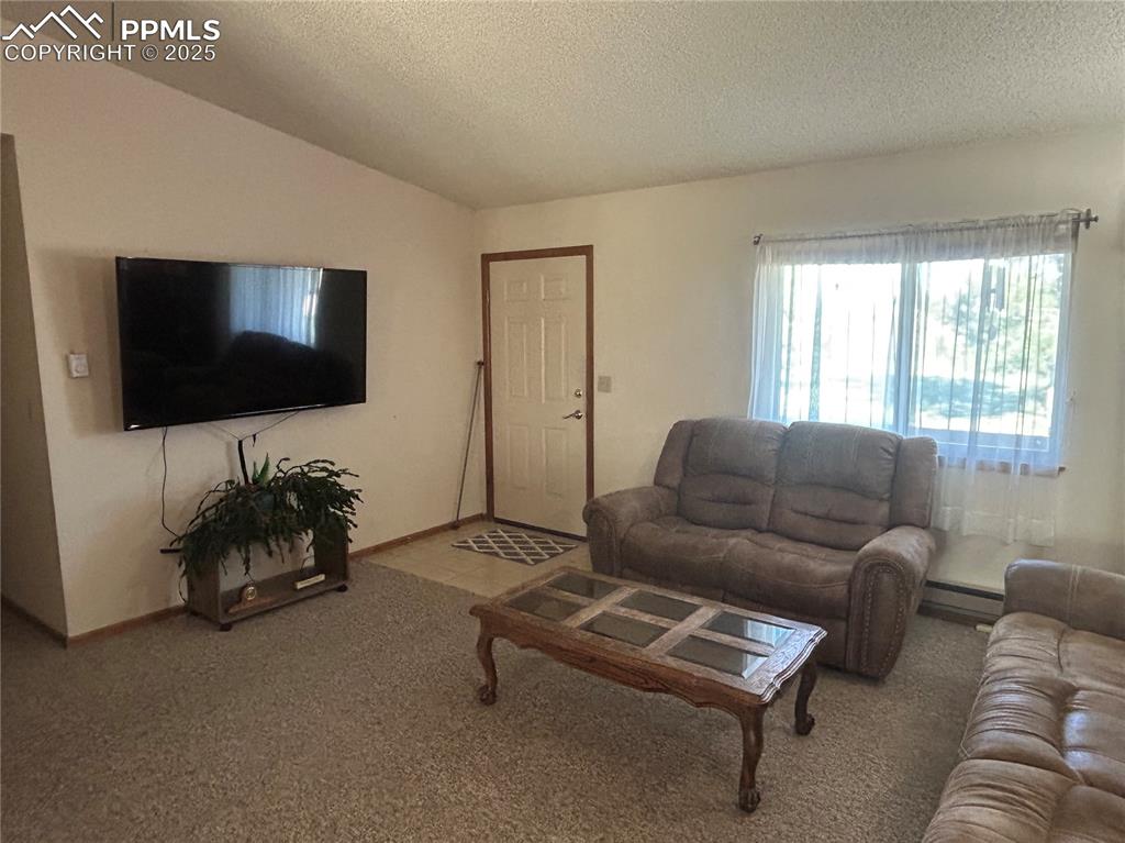 15840 Teak Place Elbert, CO 80106 - Photo 12 of 32 a living room with furniture and a flat screen tv