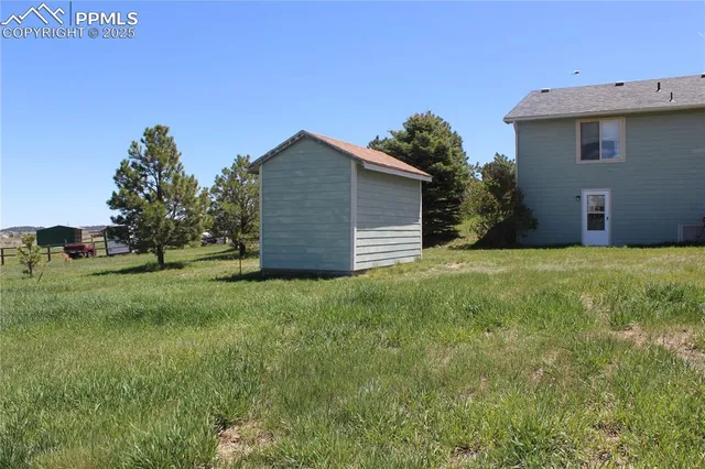 a view of a backyard with plants and large tree