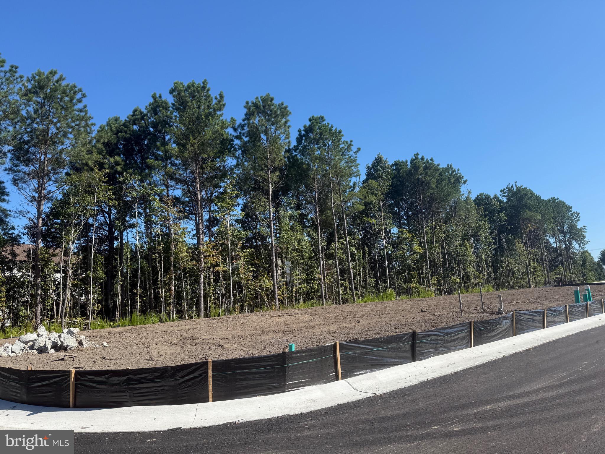36032 Jackson Street Ocean View, DE 19970 - Photo 9 of 9 a view of a yard