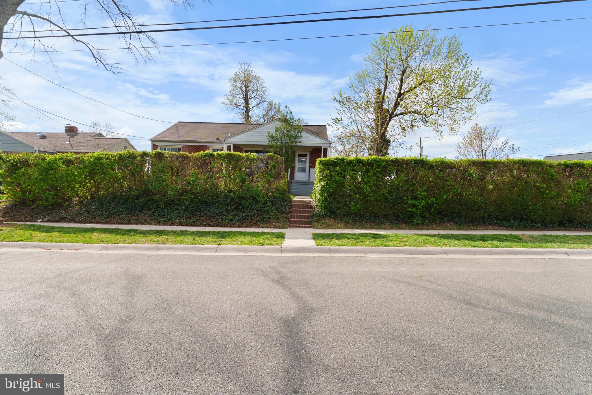 9707 Braddock Road Silver Spring, MD 20903 - Photo 30 of 32 Mature Shrubs creating a natural privacy fence