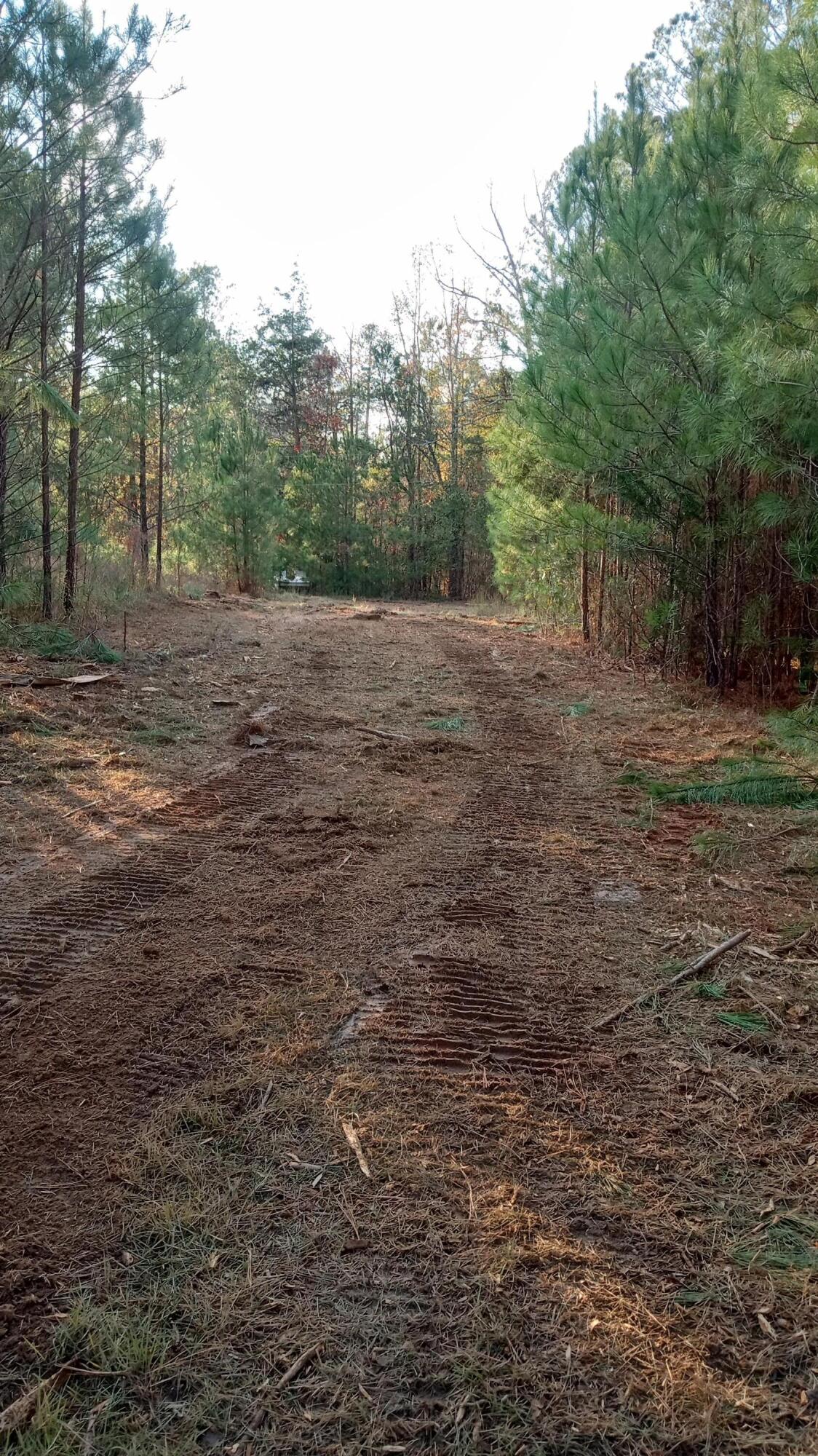 2722 Highway 23 Modoc, SC 29838 - Photo 13 of 61 Nice home site