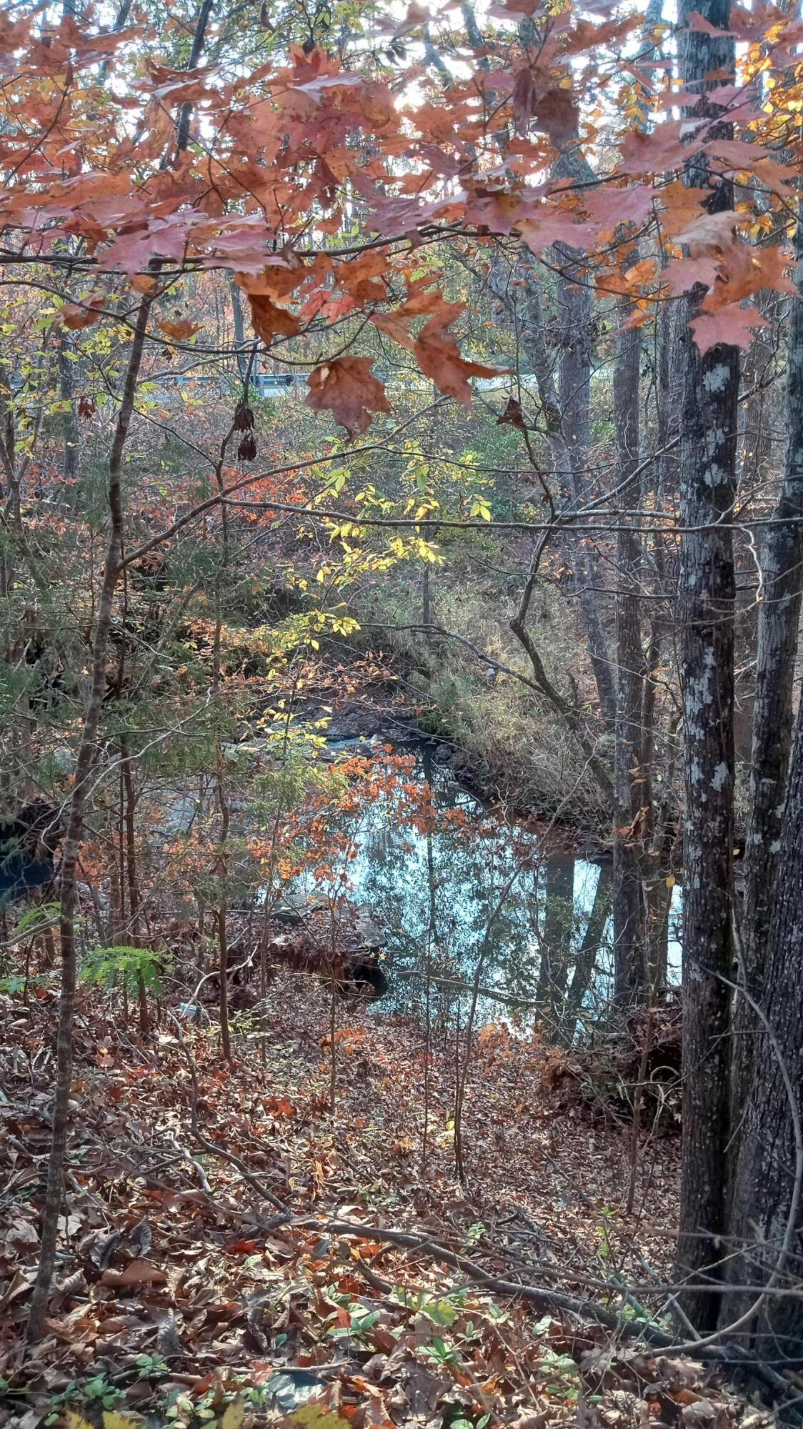 2722 Highway 23 Modoc, SC 29838 - Photo 17 of 61 IMG_20241126_160026320_HDR