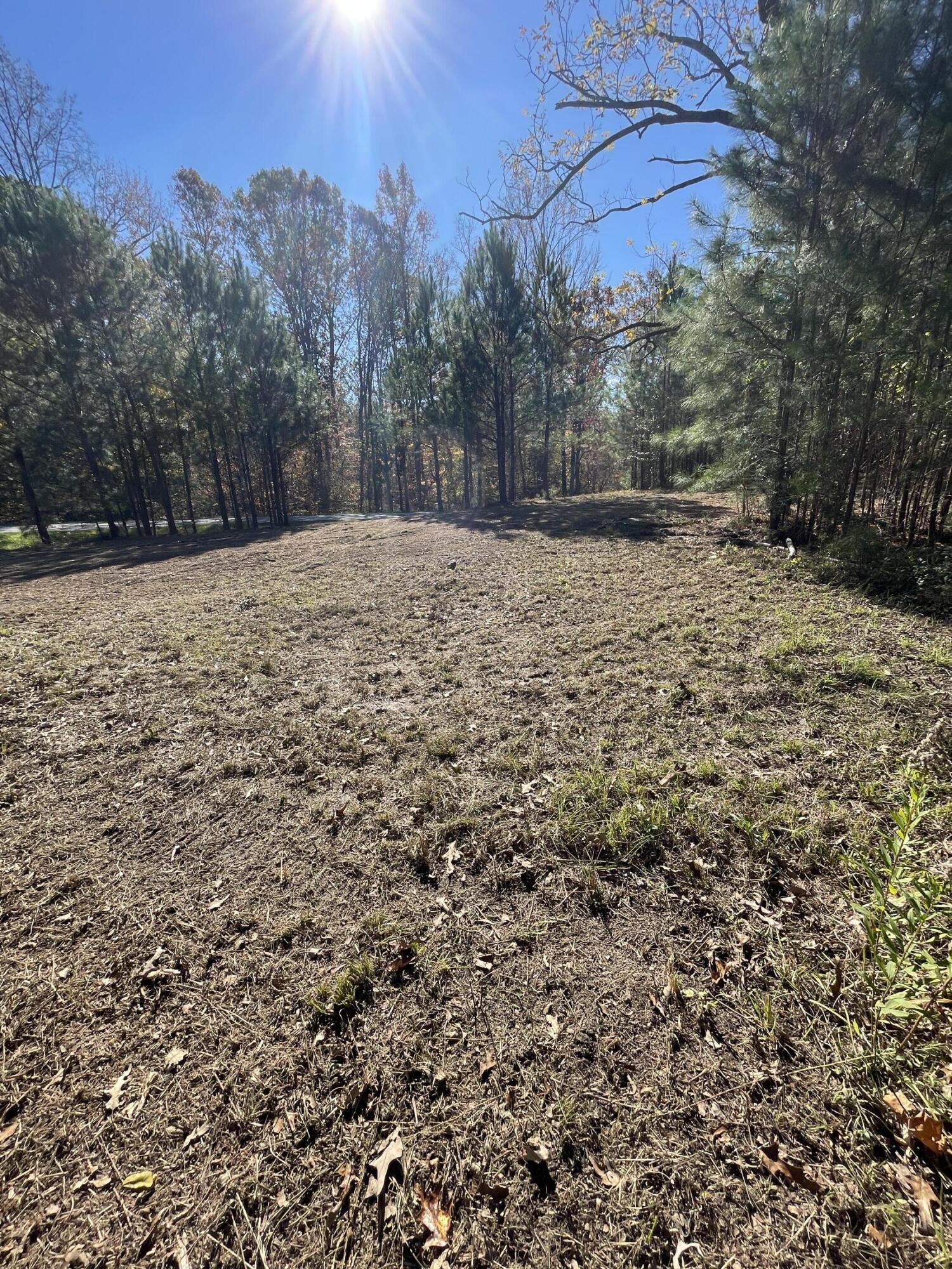 2722 Highway 23 Modoc, SC 29838 - Photo 23 of 61 IMG_5031