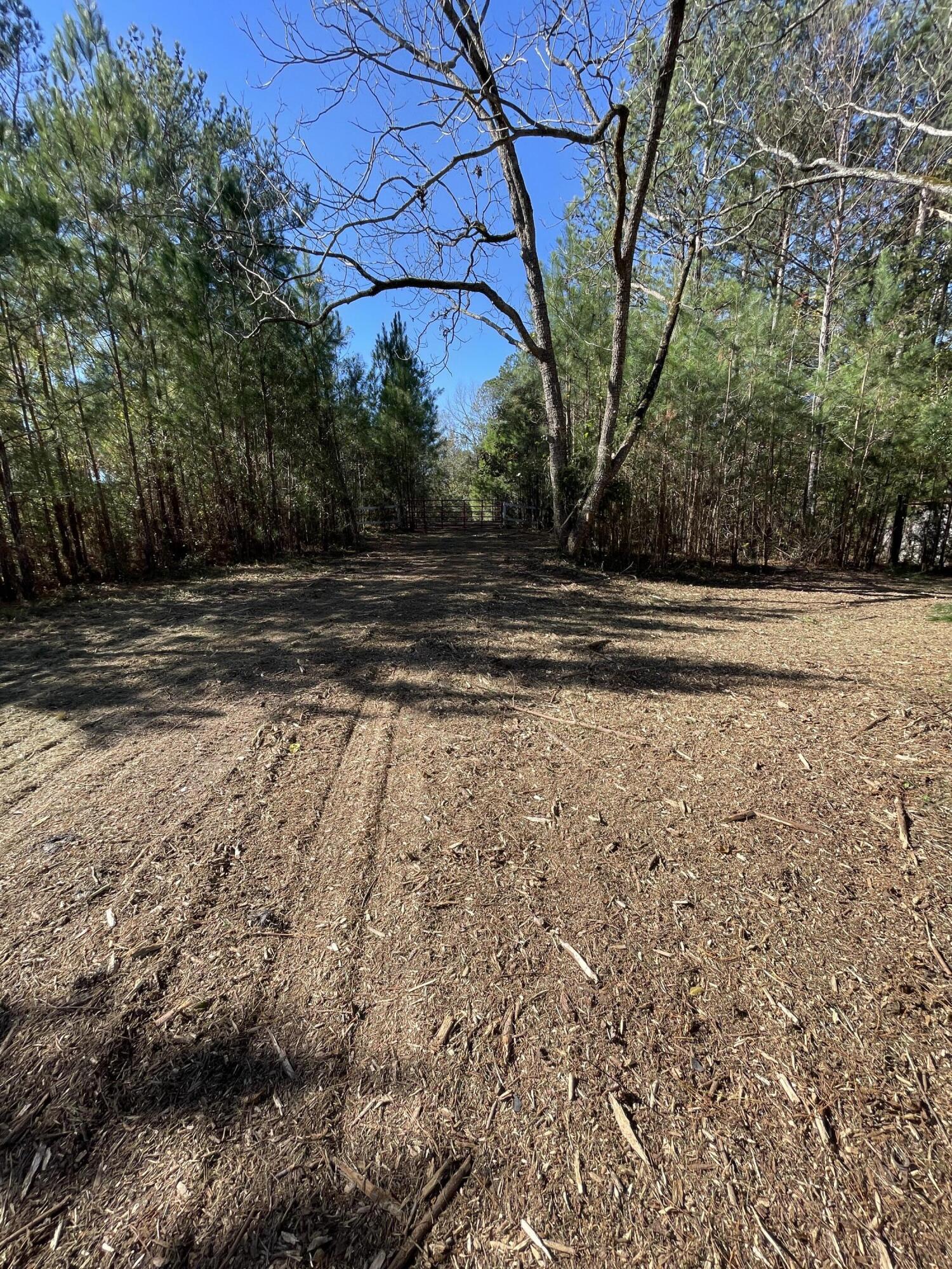 2722 Highway 23 Modoc, SC 29838 - Photo 24 of 61 IMG_5034