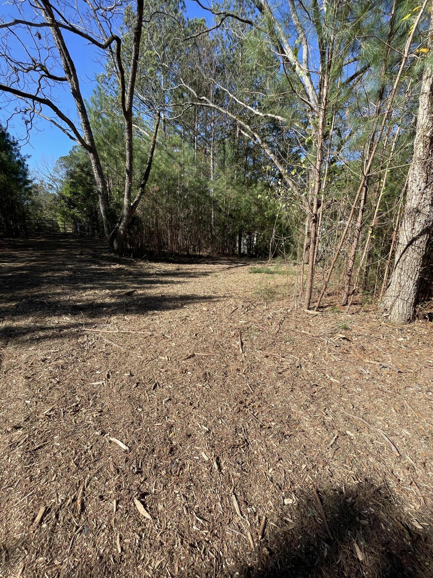 2722 Highway 23 Modoc, SC 29838 - Photo 25 of 61 IMG_5035