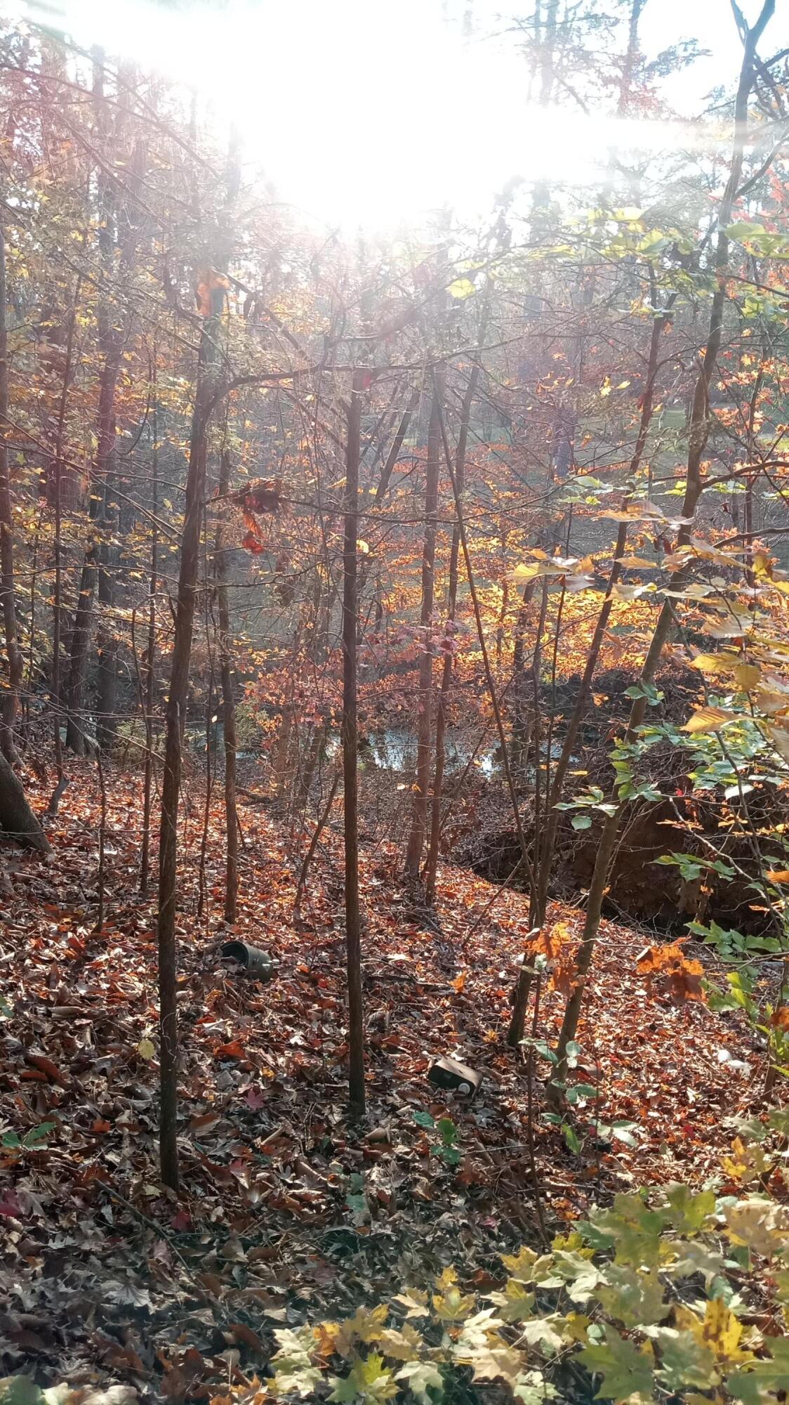 2722 Highway 23 Modoc, SC 29838 - Photo 30 of 61 IMG_20241126_155927735