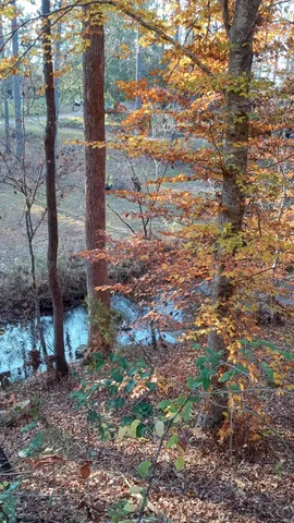 $75,000 | 2722 Highway 23, Modoc, SC 29838