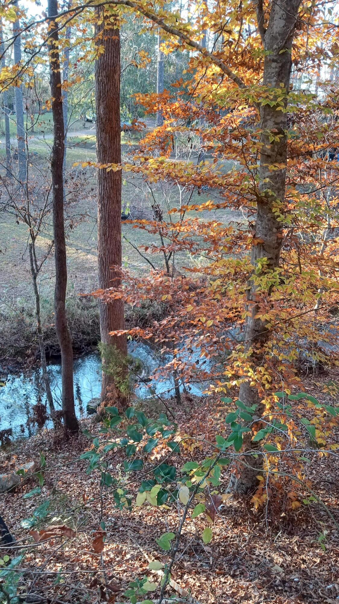 2722 Highway 23 Modoc, SC 29838 - Photo 34 of 61 IMG_20241126_160045991_HDR