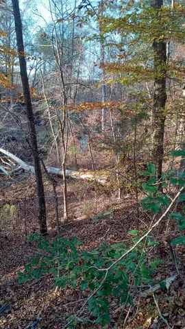 $75,000 | 2722 Highway 23, Modoc, SC 29838