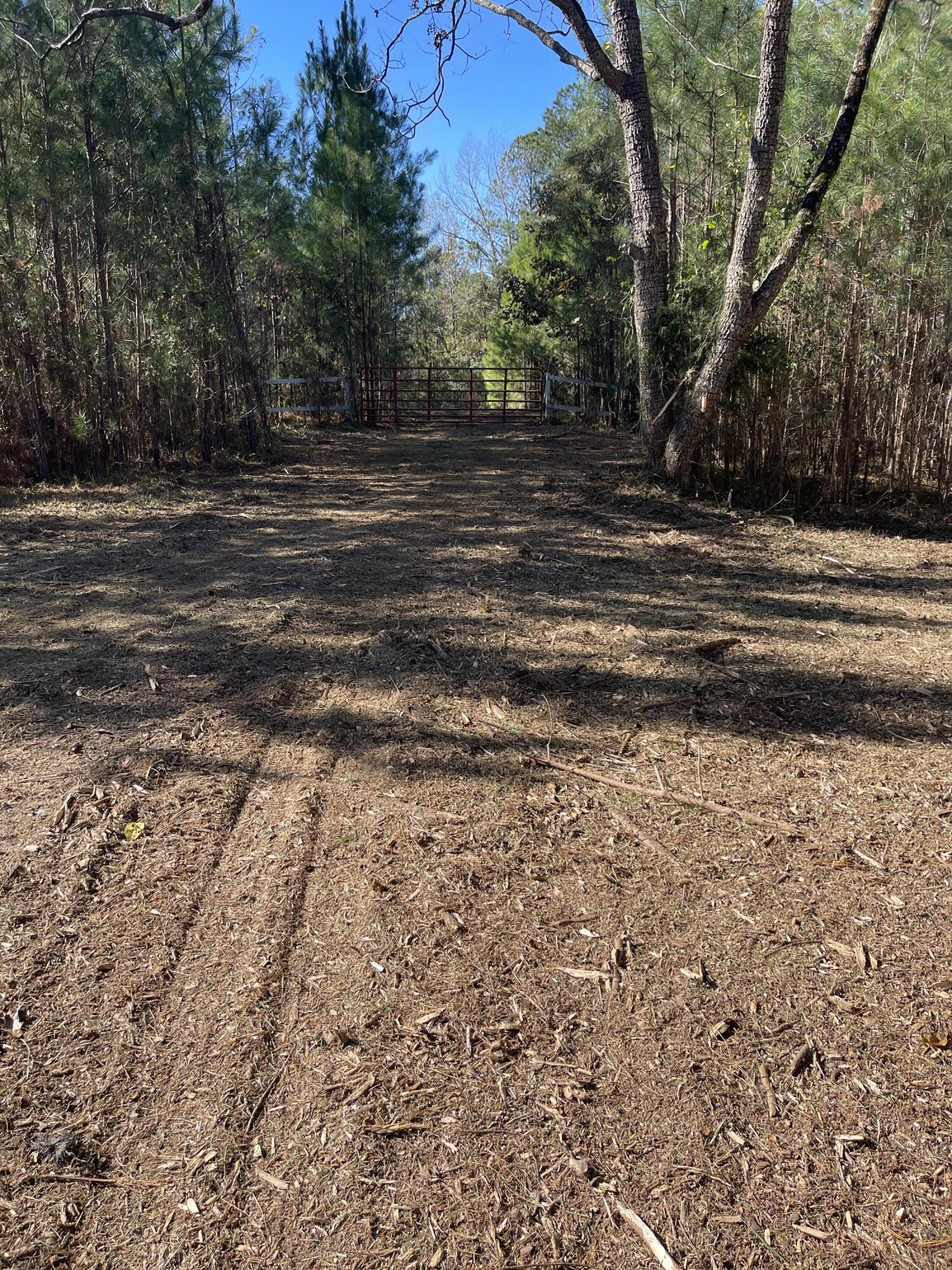 2722 Highway 23 Modoc, SC 29838 - Photo 4 of 61 IMG_5033