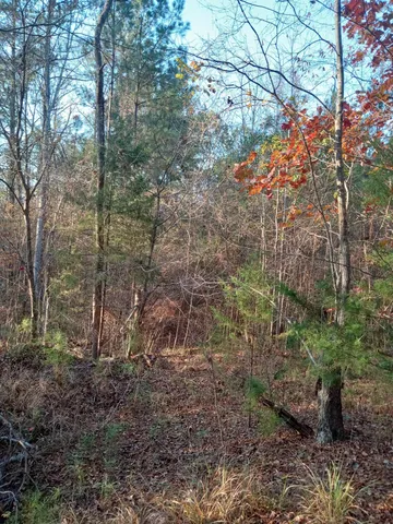 $75,000 | 2722 Highway 23, Modoc, SC 29838