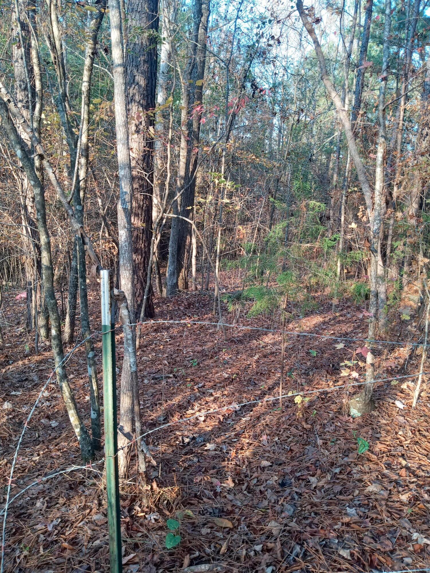 2722 Highway 23 Modoc, SC 29838 - Photo 43 of 61 IMG_20241126_160349812_HDR