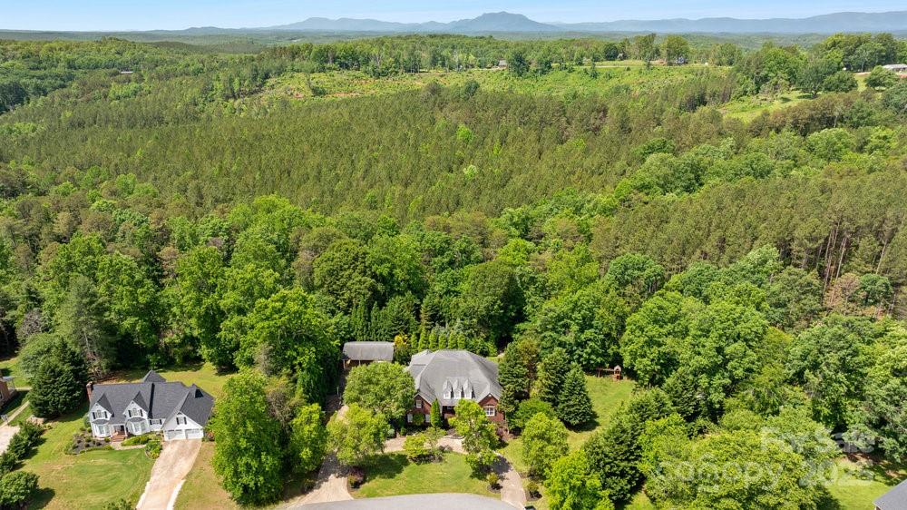 134 Brightmore Circle Rutherfordton, NC 28139 - Photo 38 of 40 a view of a lush green forest with lots of trees