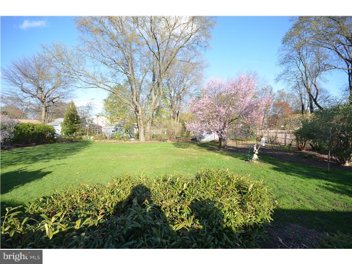 1438 Lawrence Road Lawrence Township, NJ 08648 - Photo 18 of 18 Back Yard