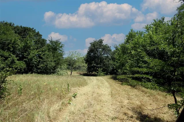 a view of a yard with trees in the background